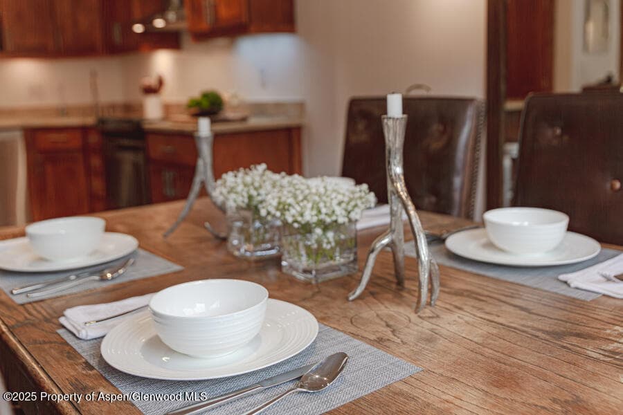725 E Main Street 309, Aspen, CO 81611 - Photo 9