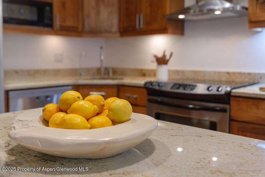 725 E Main Street 309, Aspen, CO 81611 - Photo 13