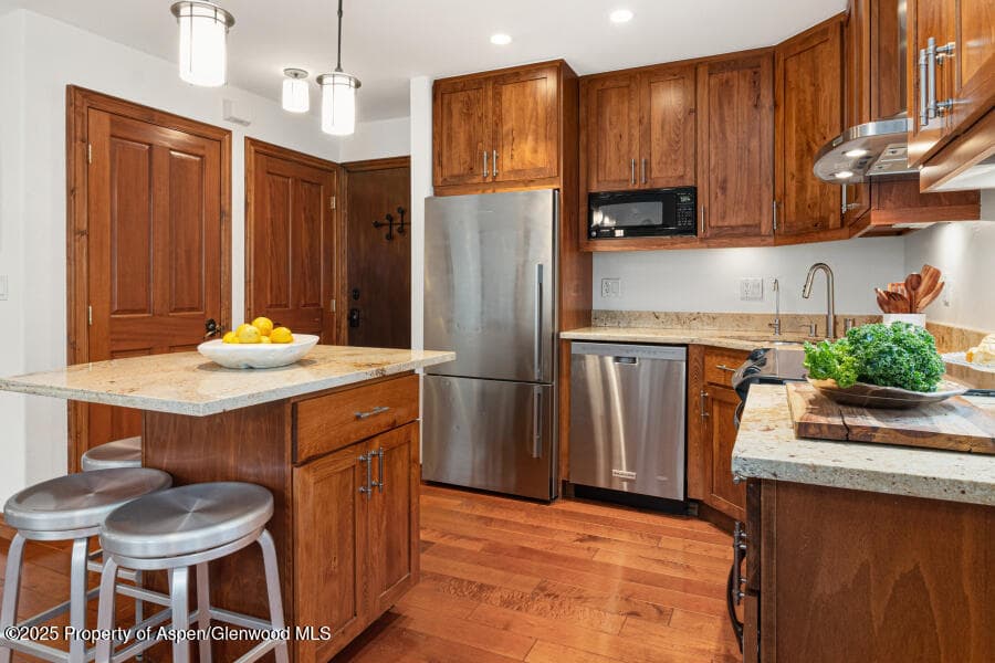 725 E Main Street 309, Aspen, CO 81611 - Photo 16