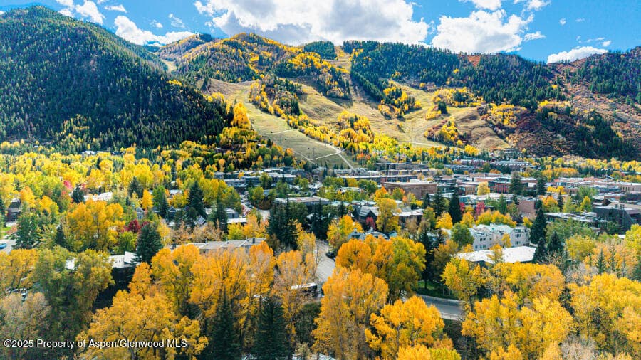 725 E Main Street 309, Aspen, CO 81611 - Photo 49