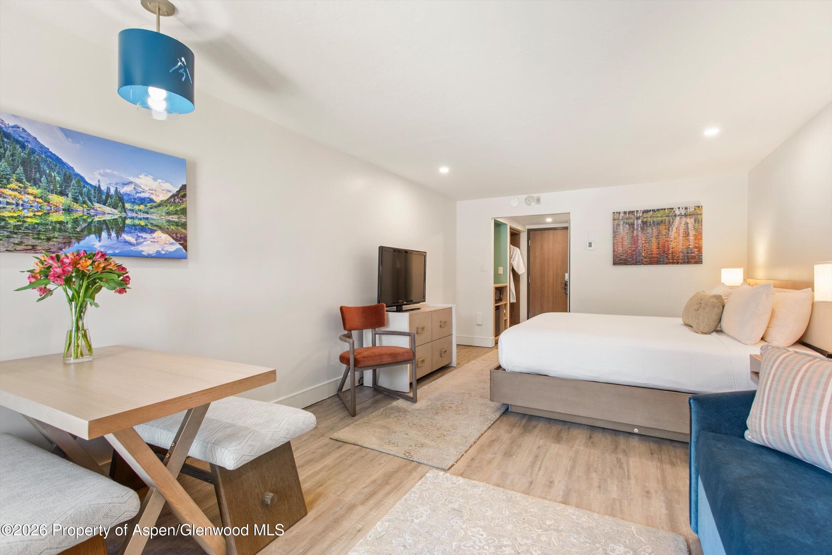 38750 Hwy 82 1109, Aspen, CO 81611 - Photo 9