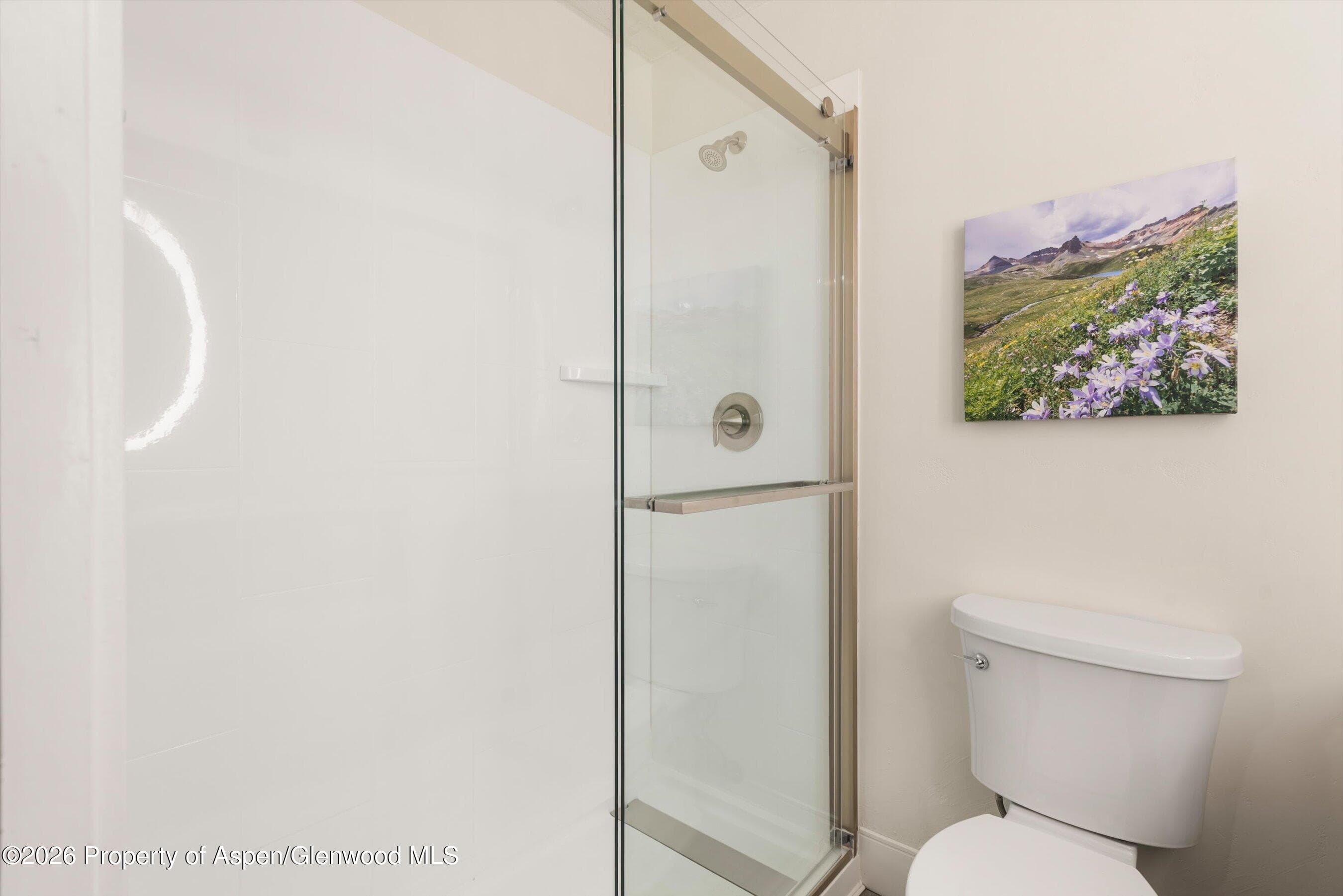 38750 Hwy 82 1109, Aspen, CO 81611 - Photo 14