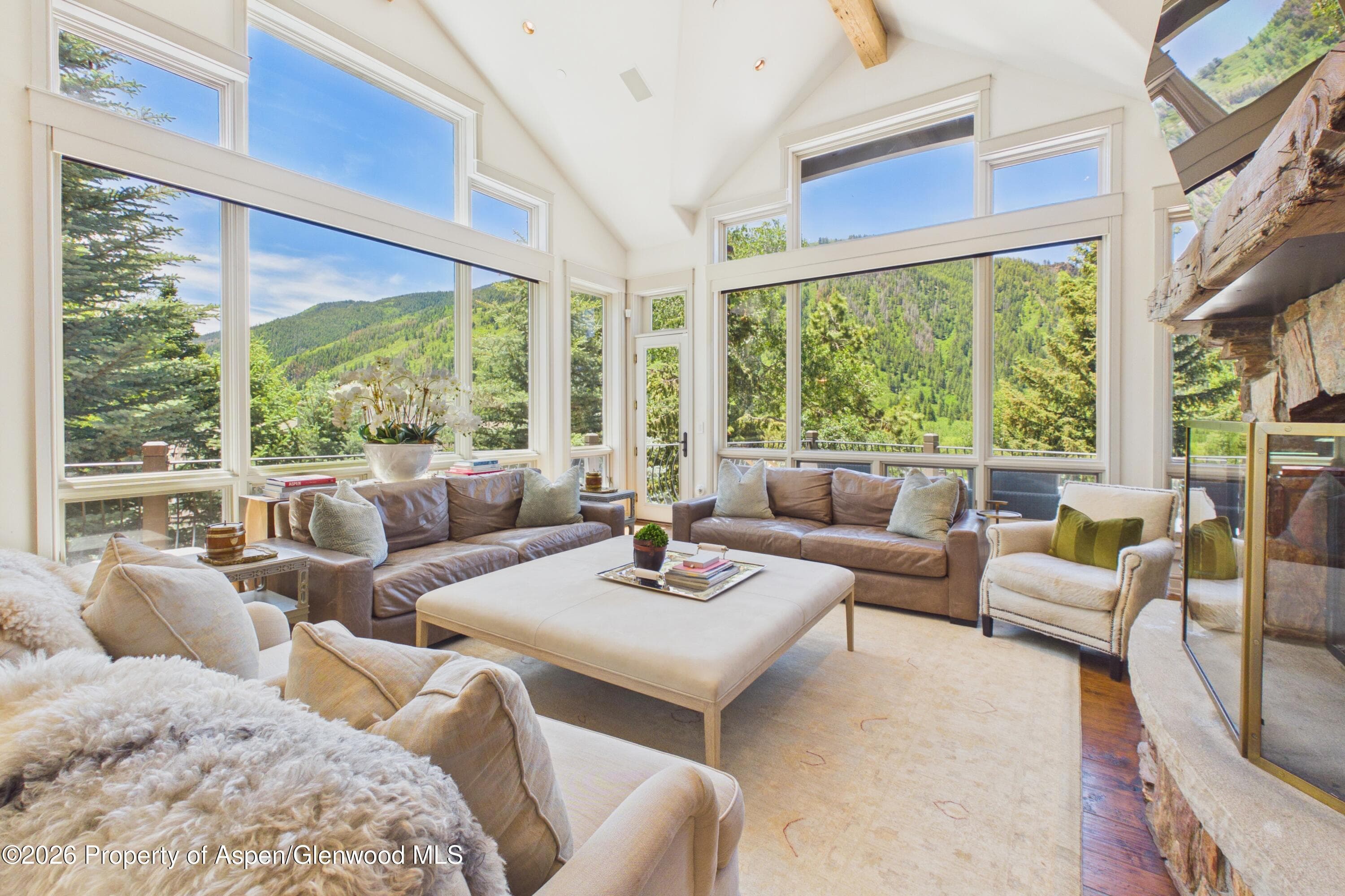 153 W Lupine Drive, Aspen, CO 81611 - Photo 6