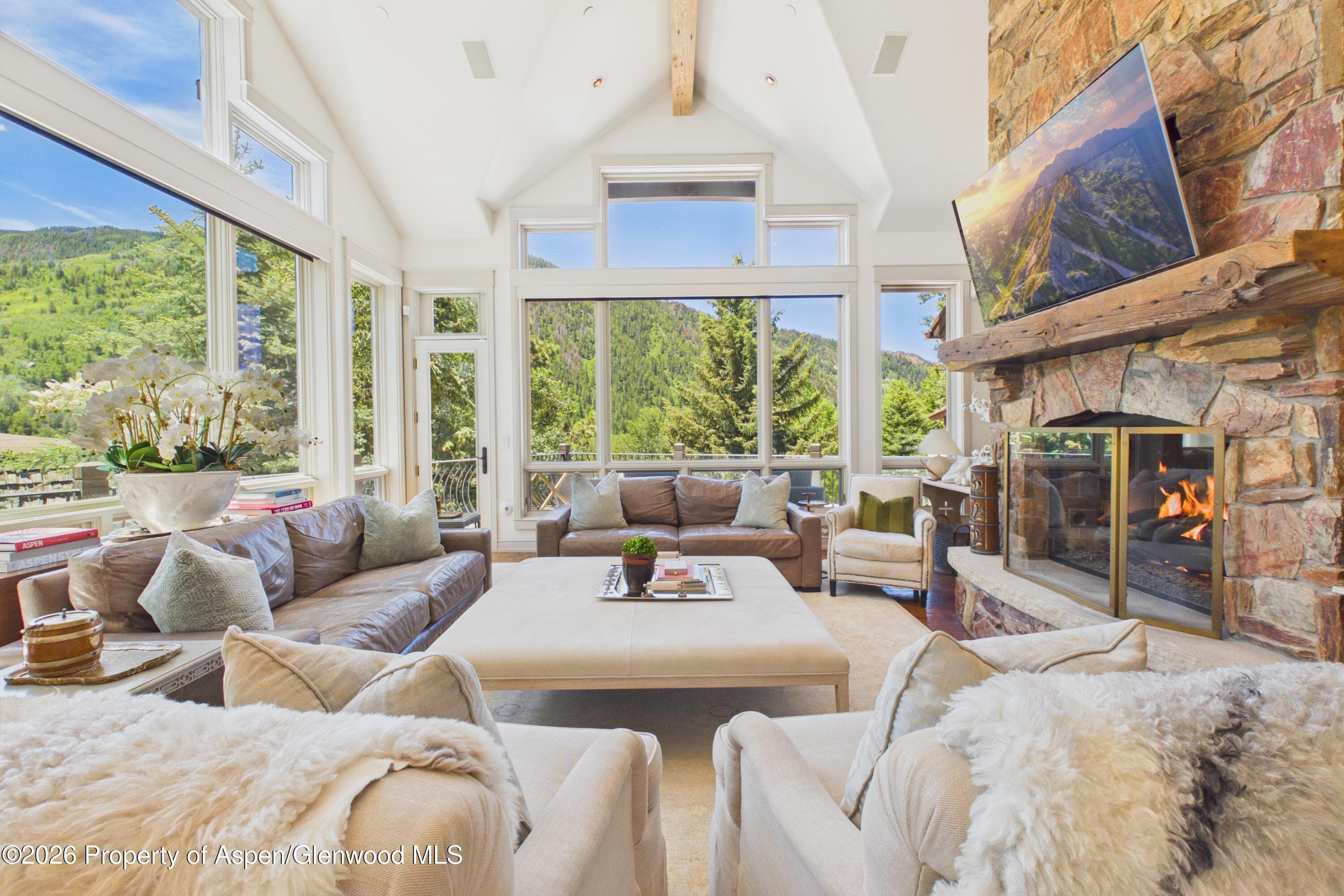 153 W Lupine Drive, Aspen, CO 81611 - Photo 7