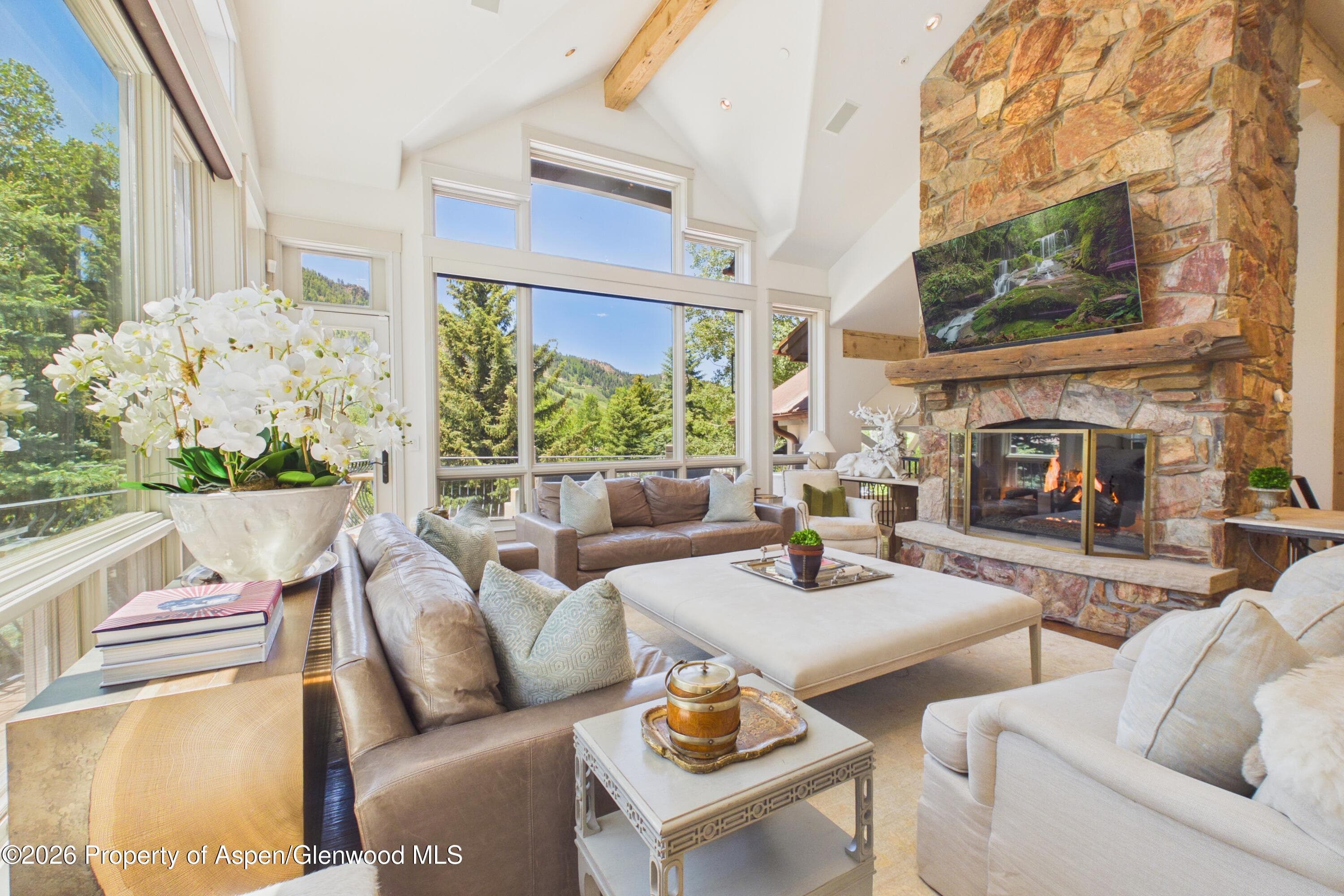 153 W Lupine Drive, Aspen, CO 81611 - Photo 8