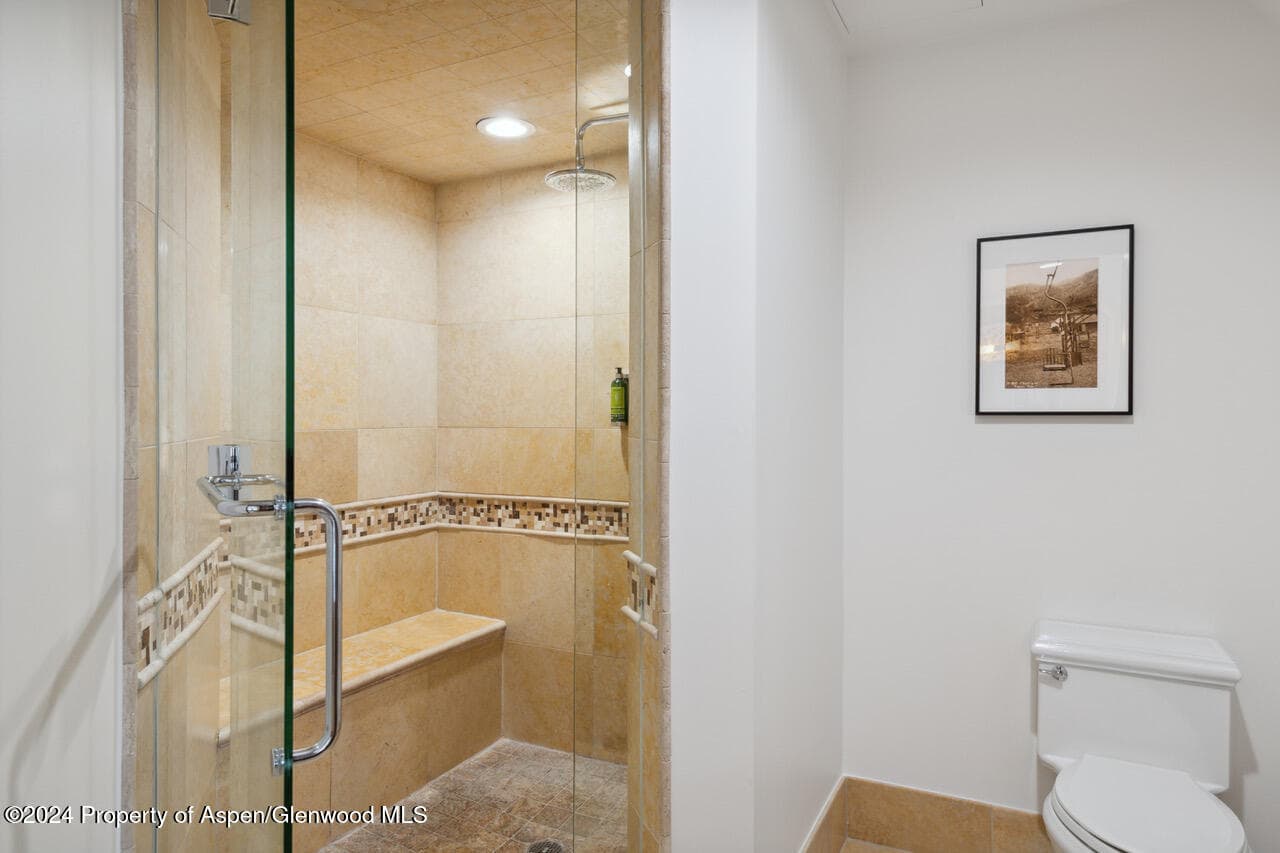 415 E Dean St, Unit 45, Week 12, Aspen, CO 81611 - Photo 18