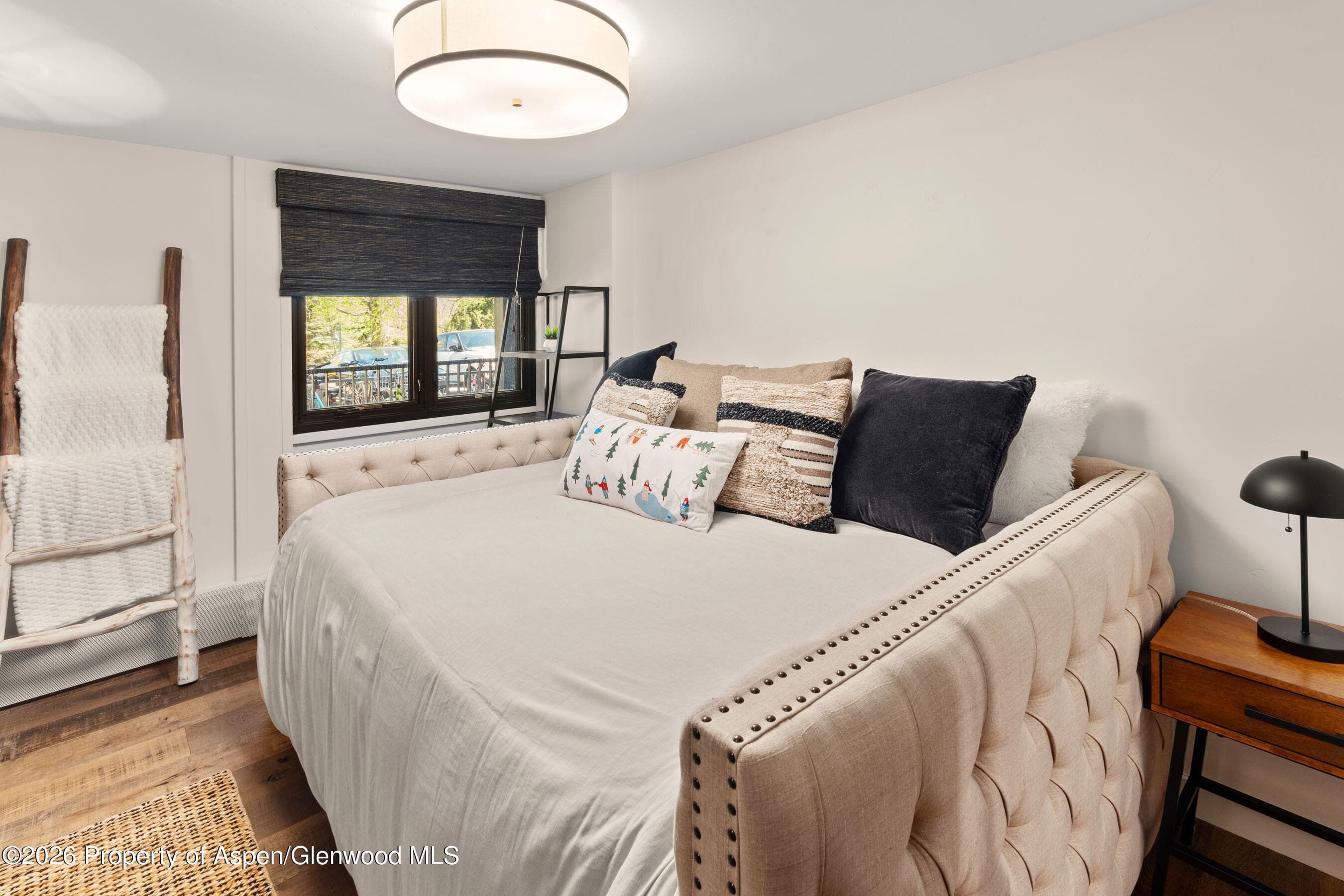 800 S Mill Street 105, Aspen, CO 81611 - Photo 6