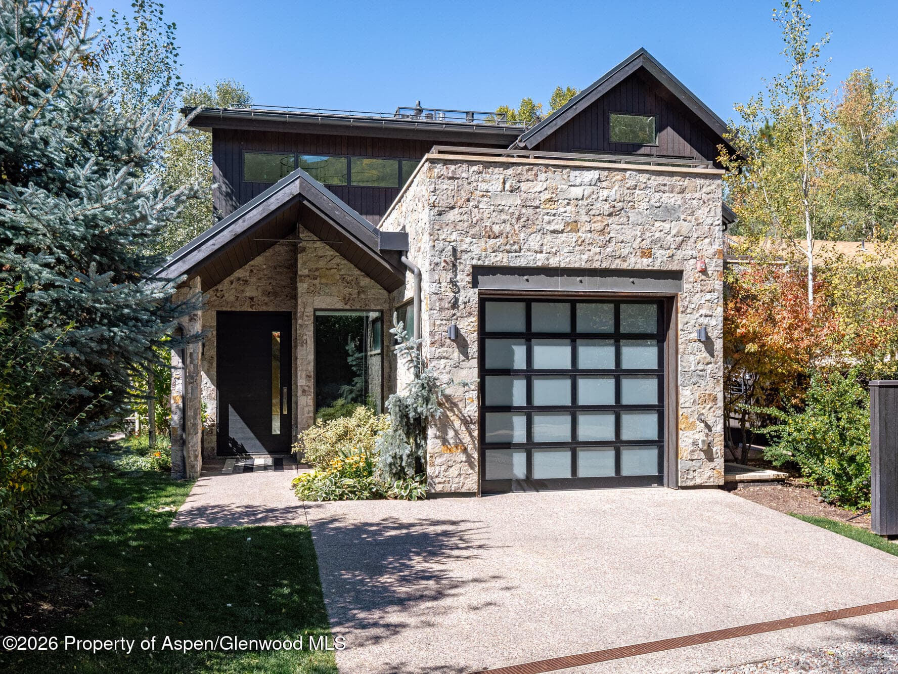 1154 E Cooper Avenue Unit B, Aspen, CO 81611 - Photo 41