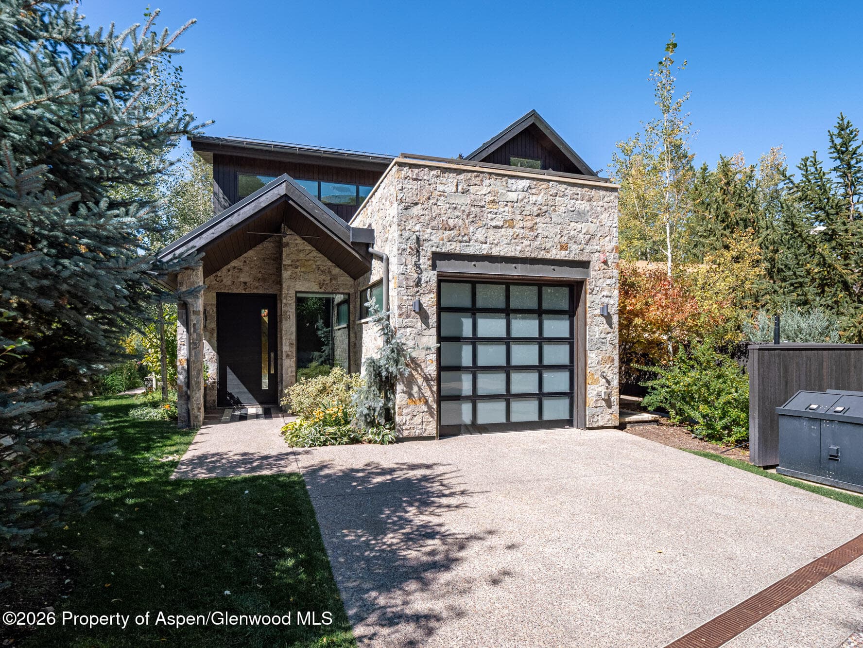1154 E Cooper Avenue Unit B, Aspen, CO 81611 - Photo 40