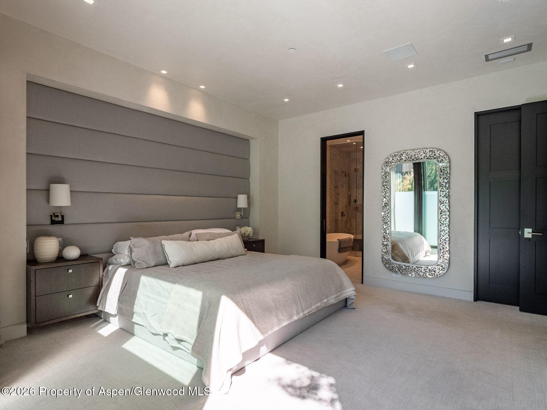 1154 E Cooper Avenue Unit B, Aspen, CO 81611 - Photo 10