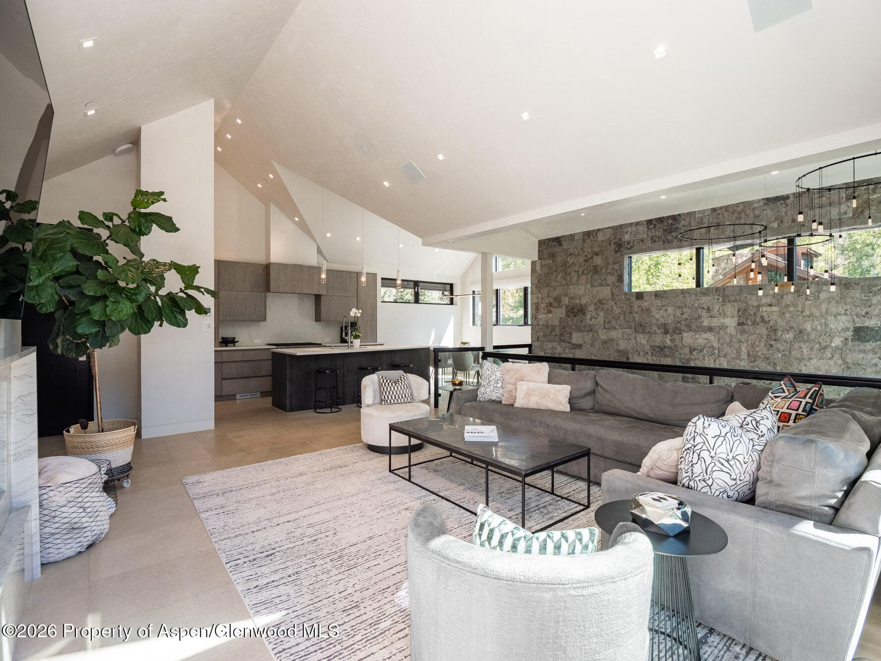 1154 E Cooper Avenue Unit B, Aspen, CO 81611 - Photo 5