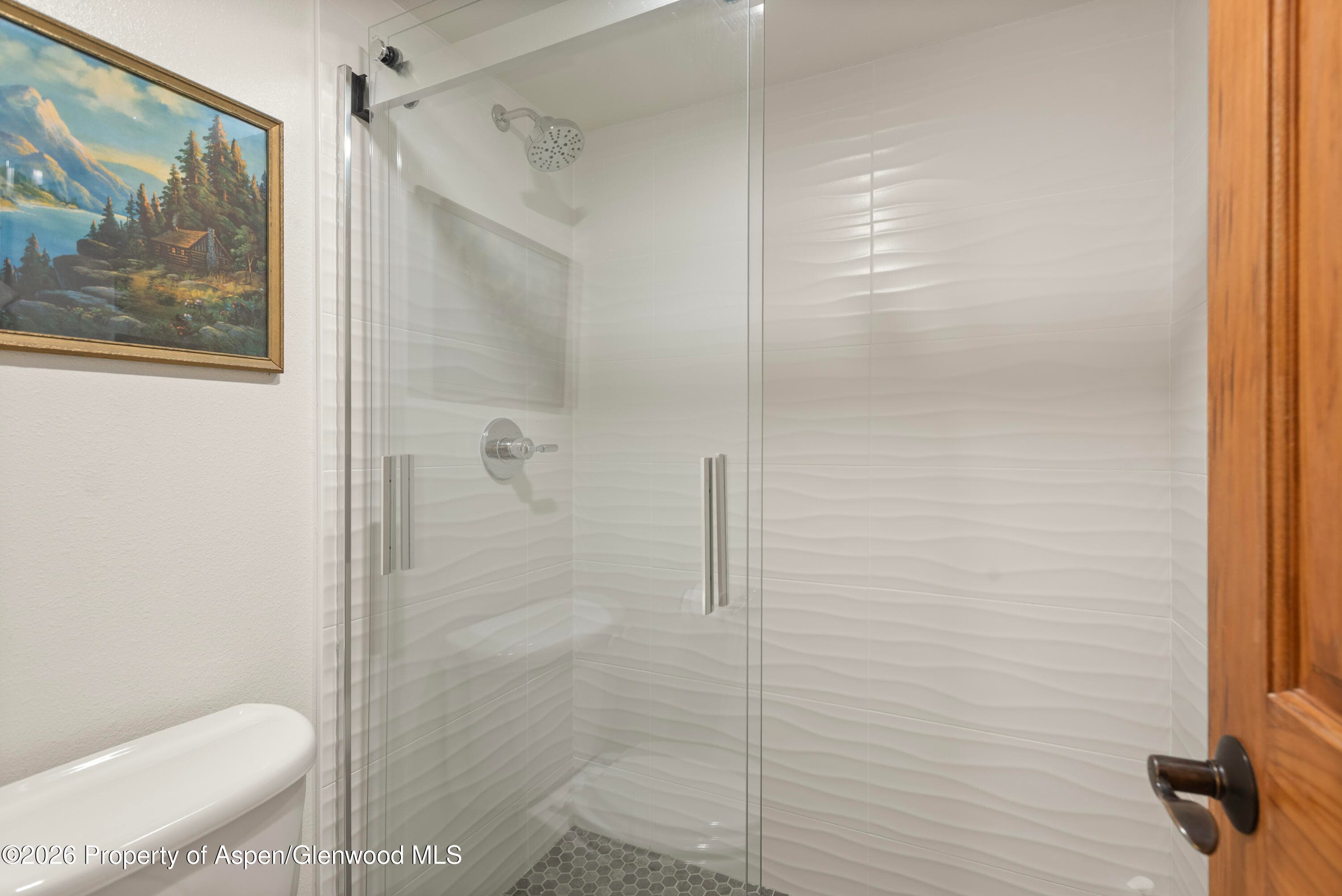 35 Upper Woodbridge Road 32ef, Snowmass Village, CO 81615 - Photo 26