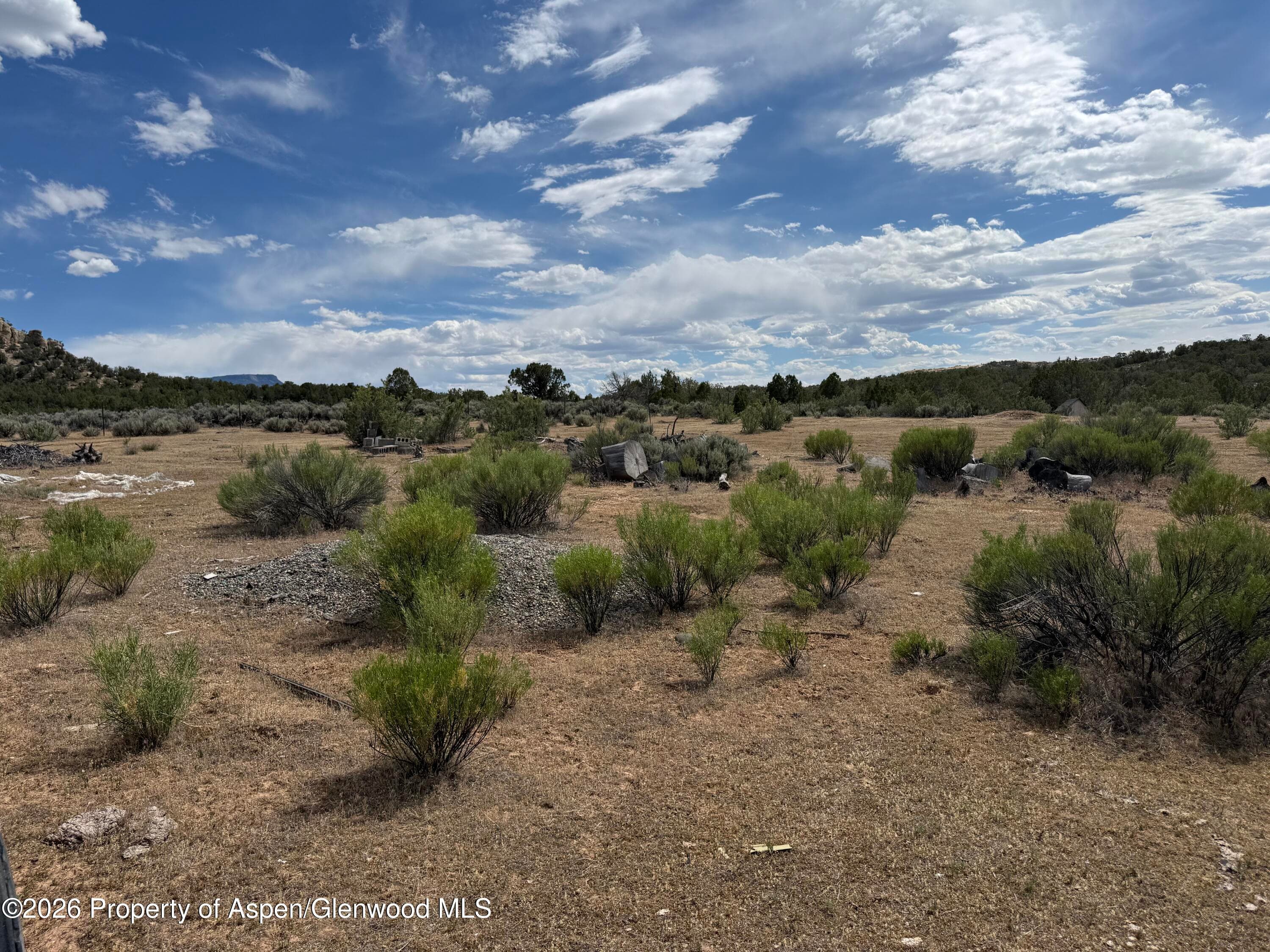 4530 Horse Canyon Road, De Beque, CO 81630 - Photo 8