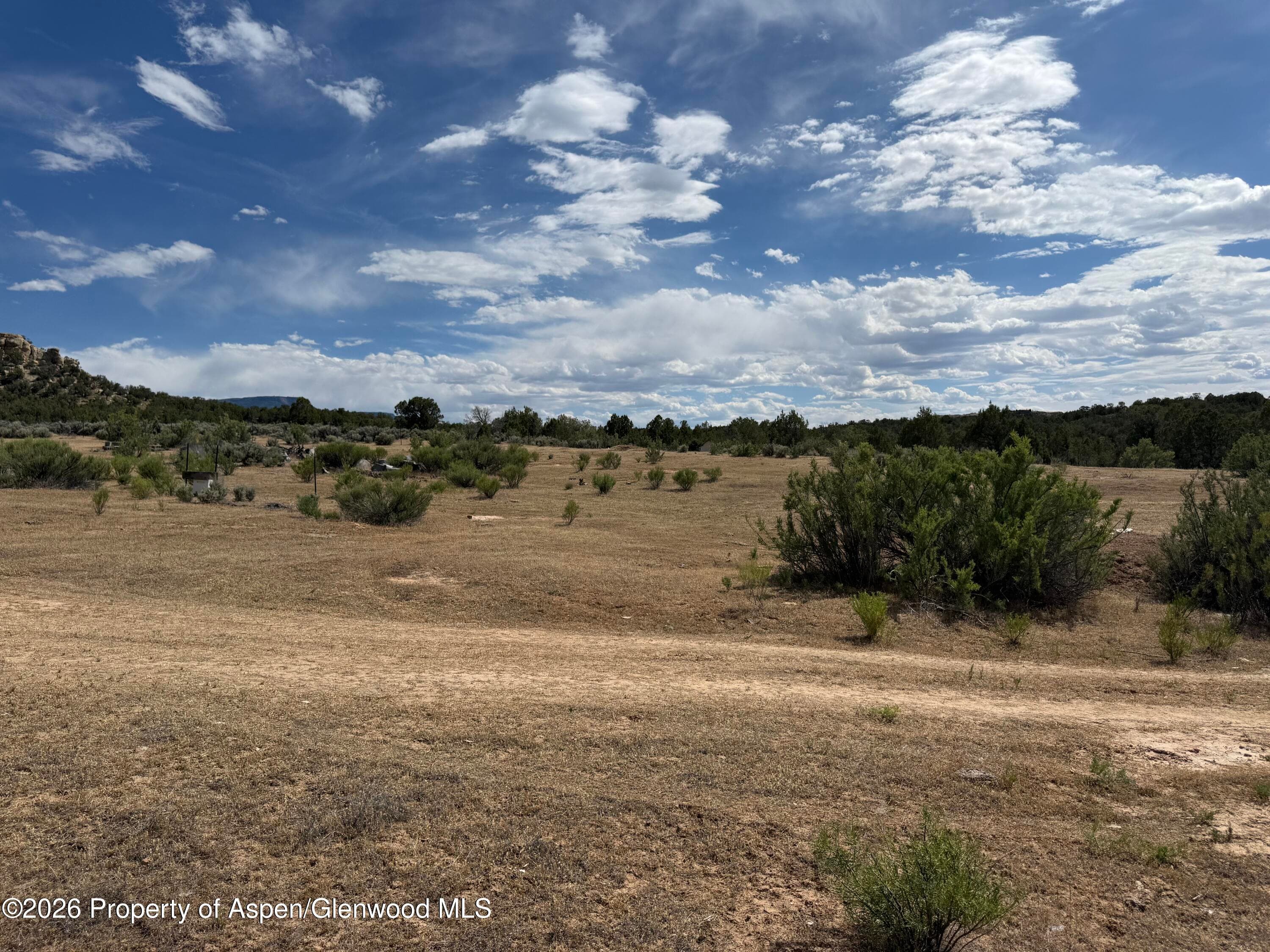 4530 Horse Canyon Road, De Beque, CO 81630 - Photo 14