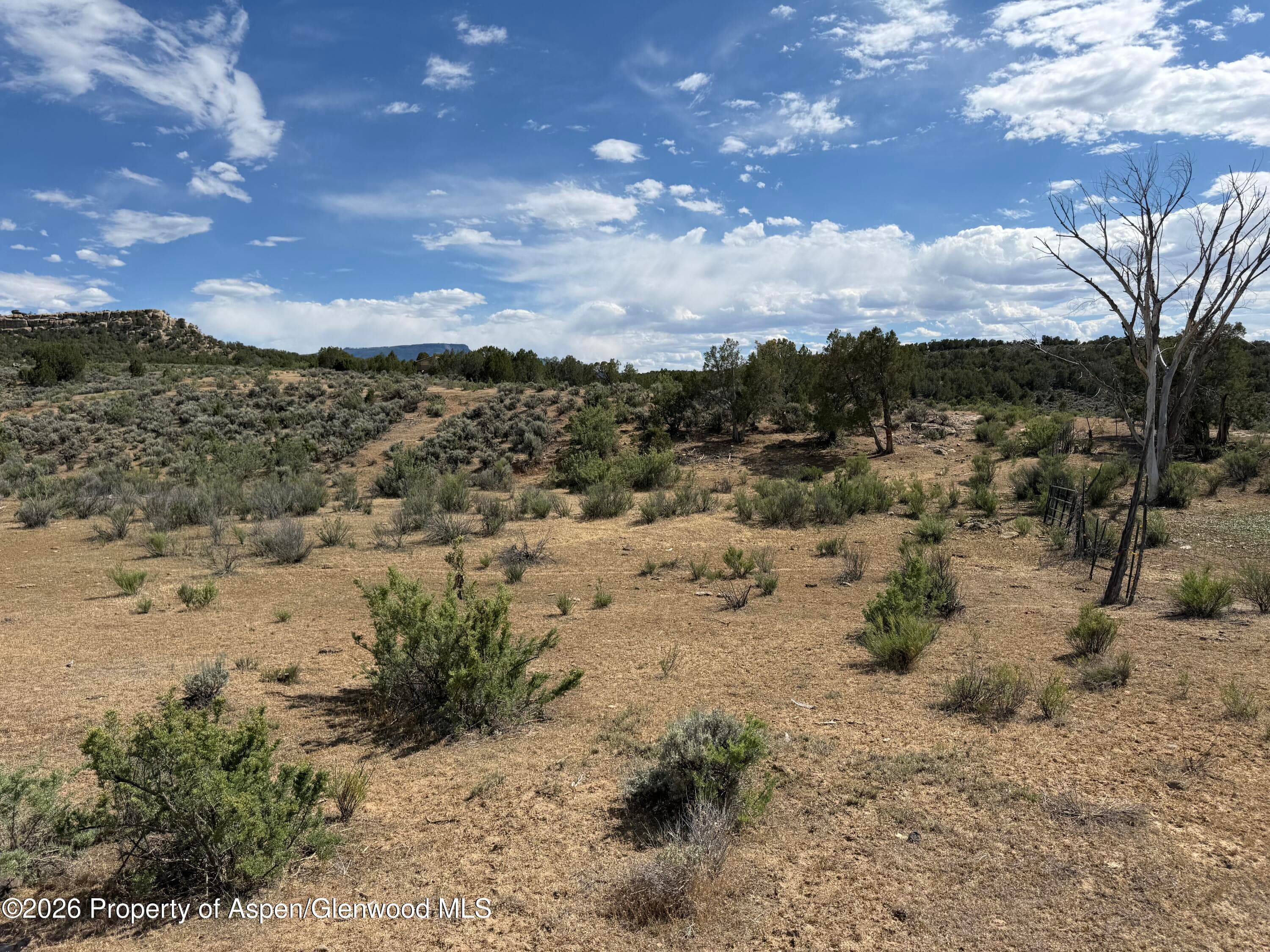 4530 Horse Canyon Road, De Beque, CO 81630 - Photo 18