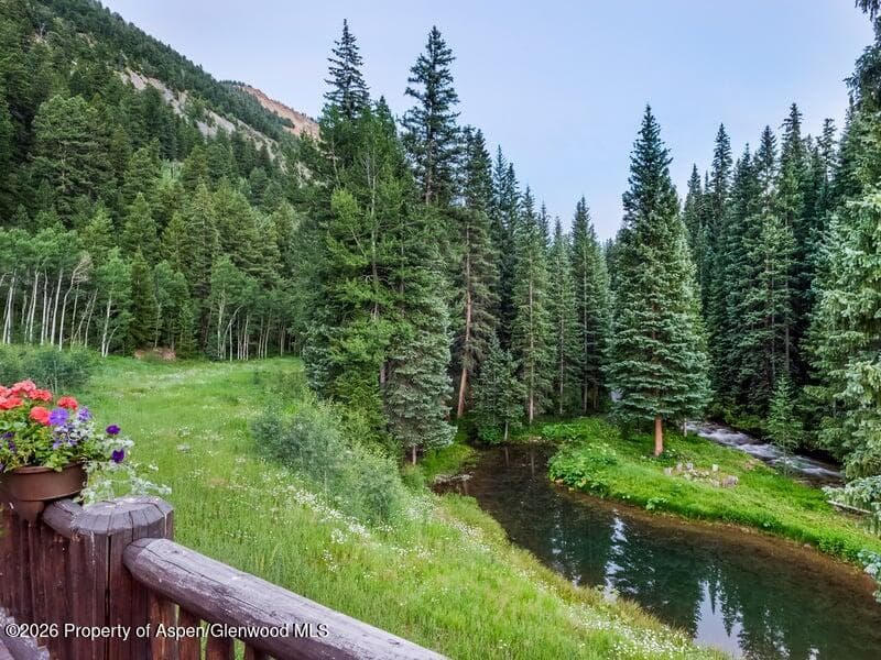 27 & 33 Fall Creek, Aspen, CO 81611 - Photo 12