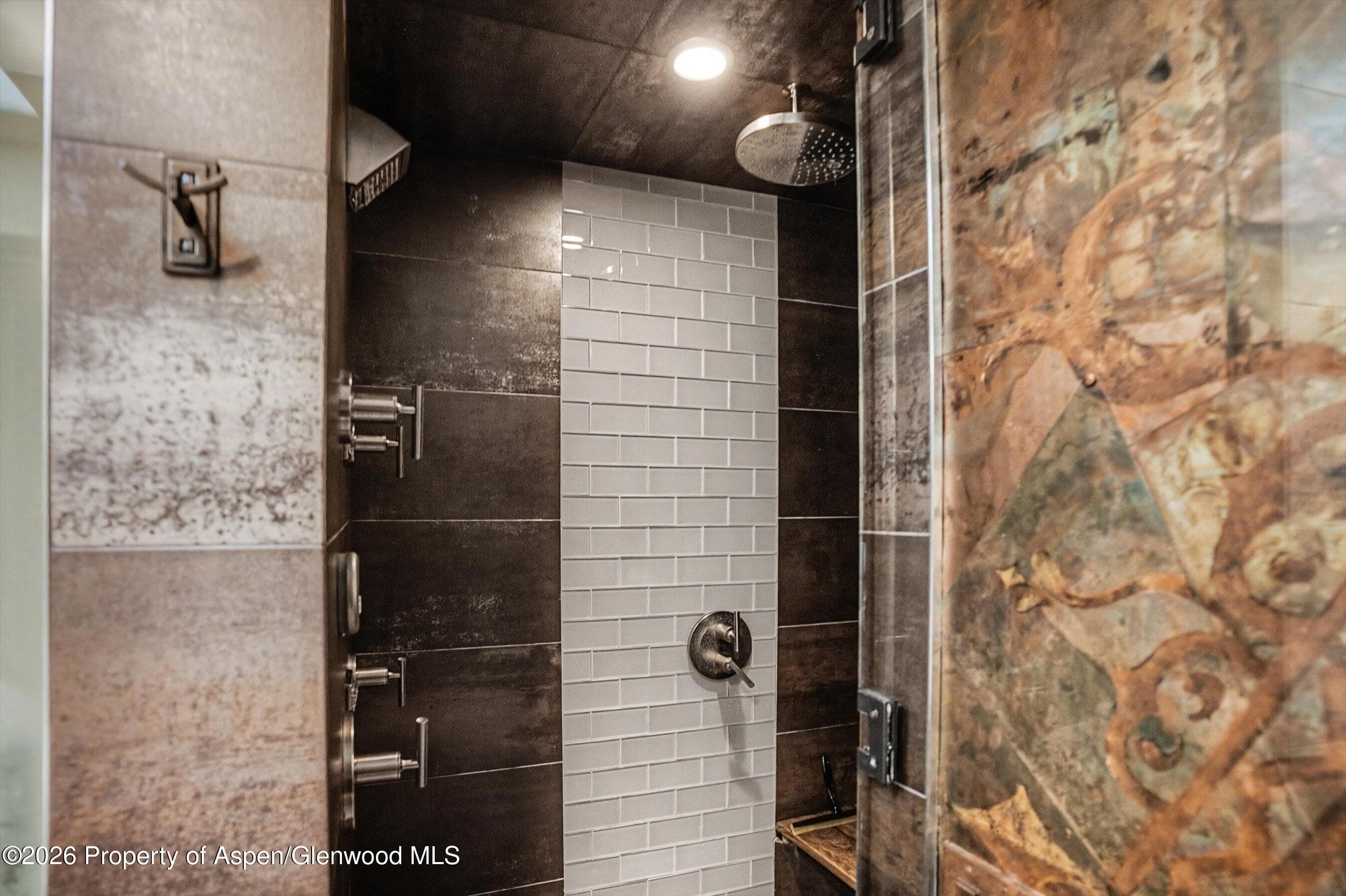 100 E Dean Street 3c, Aspen, CO 81611 - Photo 10