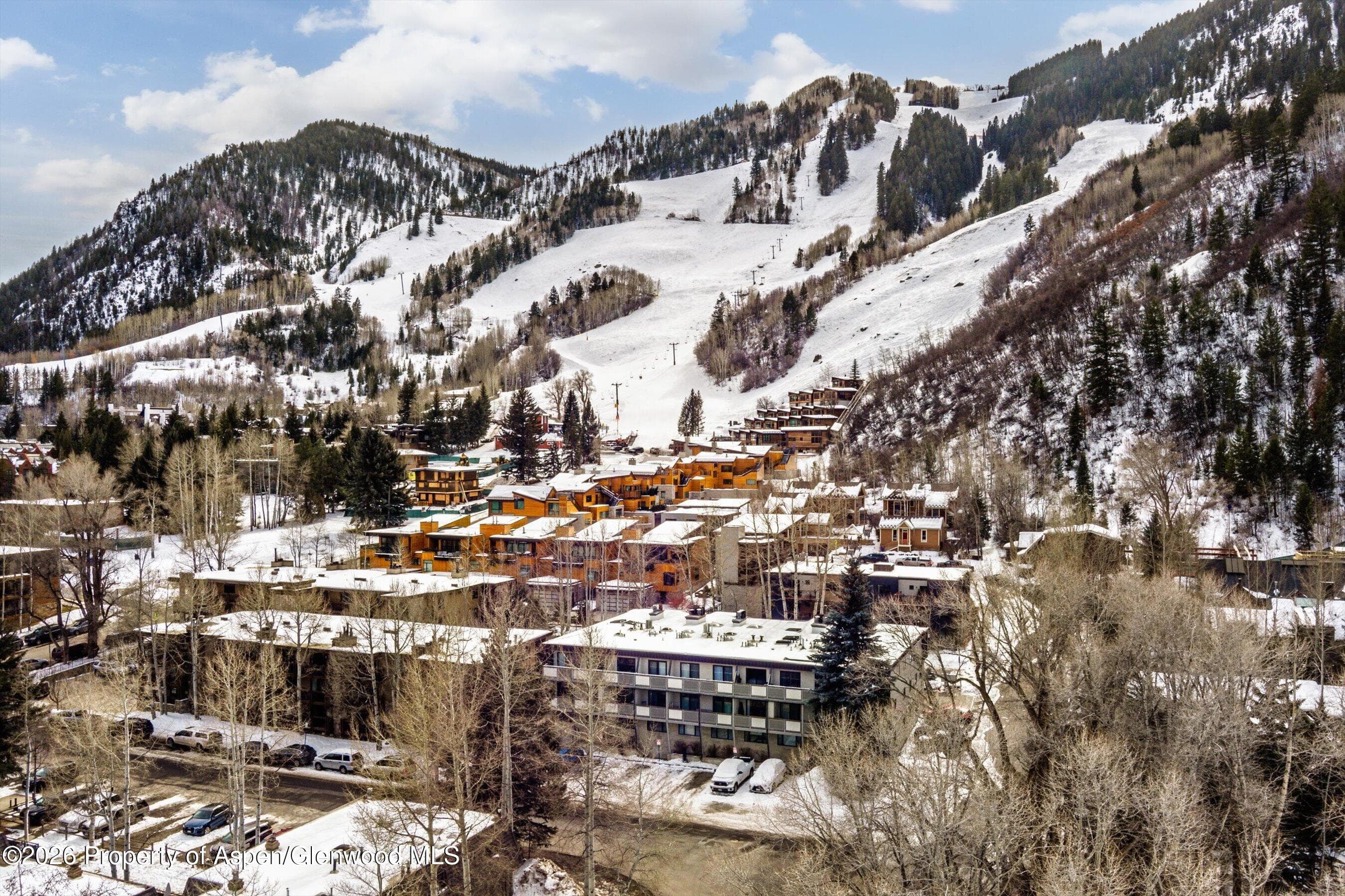 100 E Dean Street 3c, Aspen, CO 81611 - Photo 14