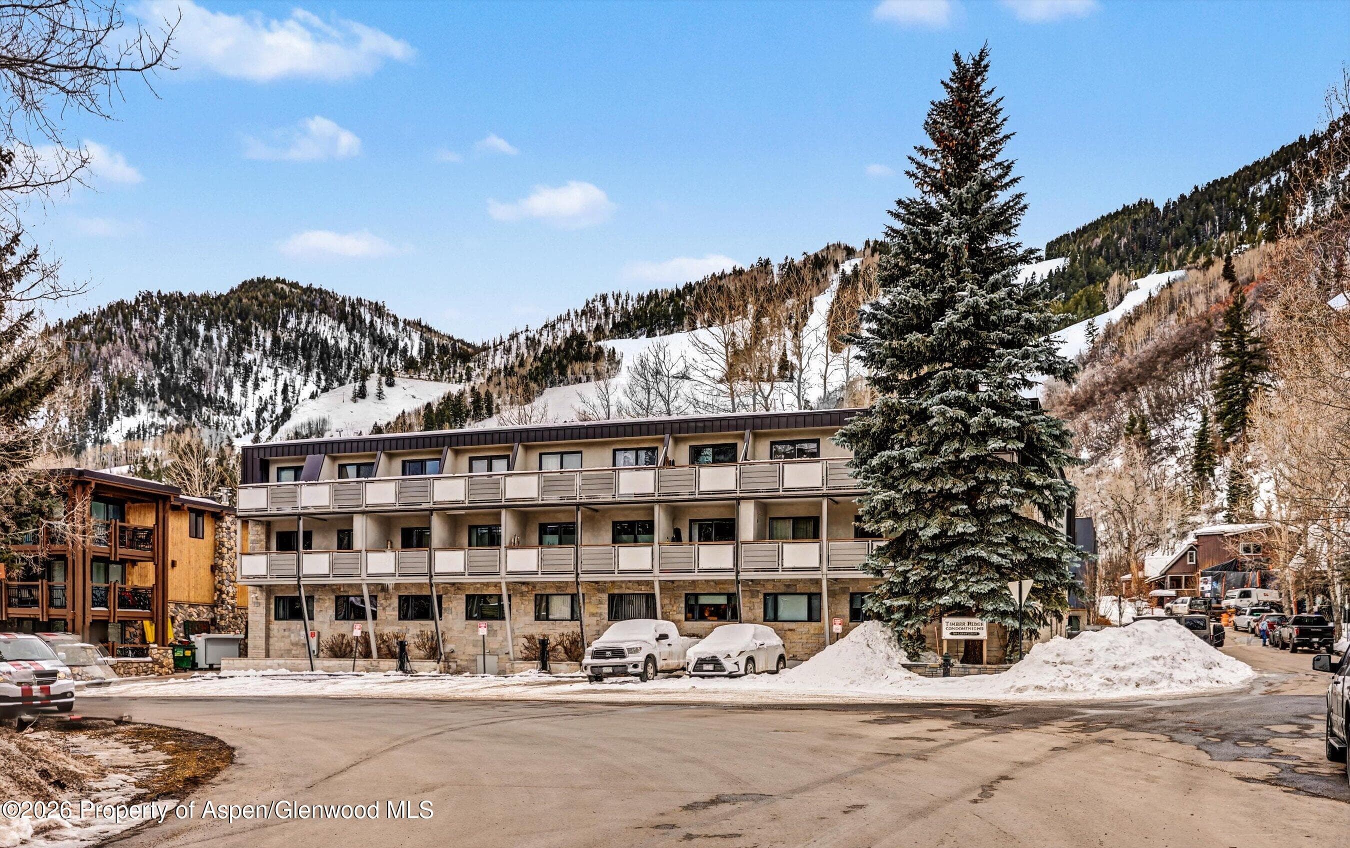 100 E Dean Street 3c, Aspen, CO 81611 - Photo 16