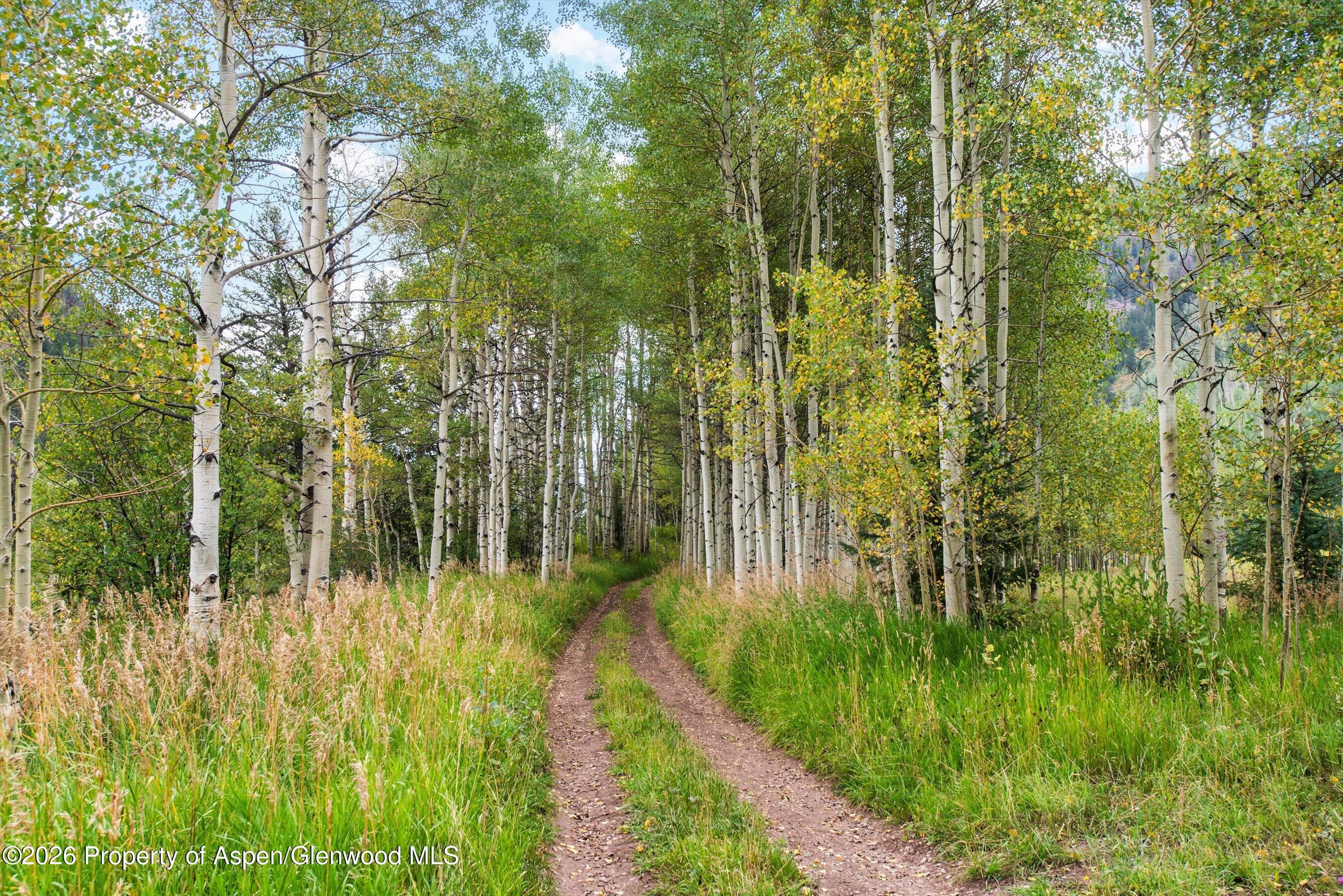 5387 Castle Creek Road, Aspen, CO 81612 - Photo 23