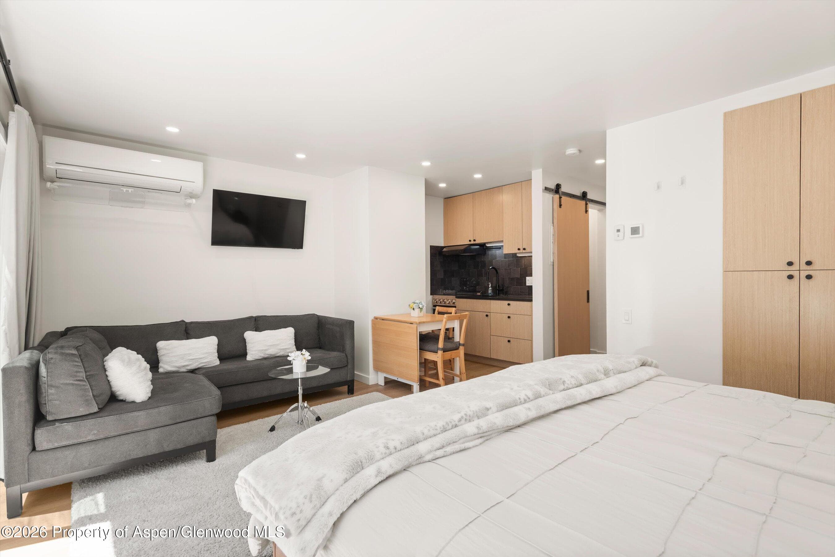 725 E Main Street 107, Aspen, CO 81611 - Photo 6