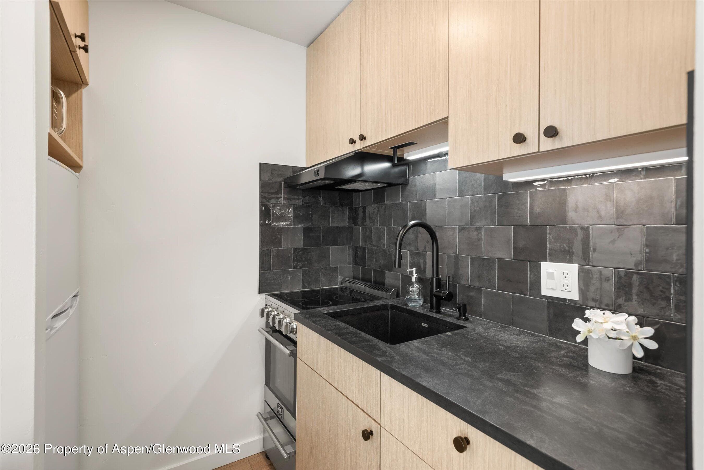725 E Main Street 107, Aspen, CO 81611 - Photo 8
