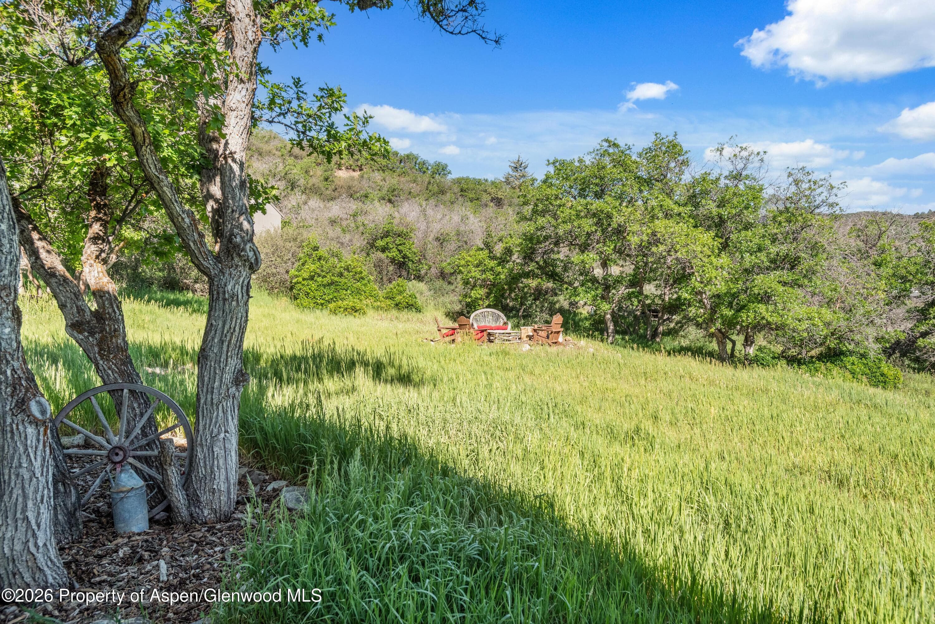 1560 Medicine Bow Road, Aspen, CO 81611 - Photo 41