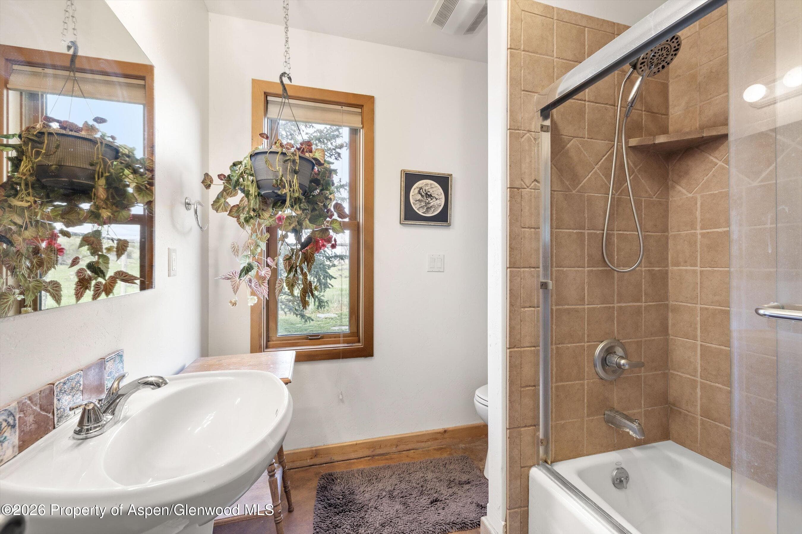 345 Elk Range Road, Carbondale, CO 81623 - Photo 19