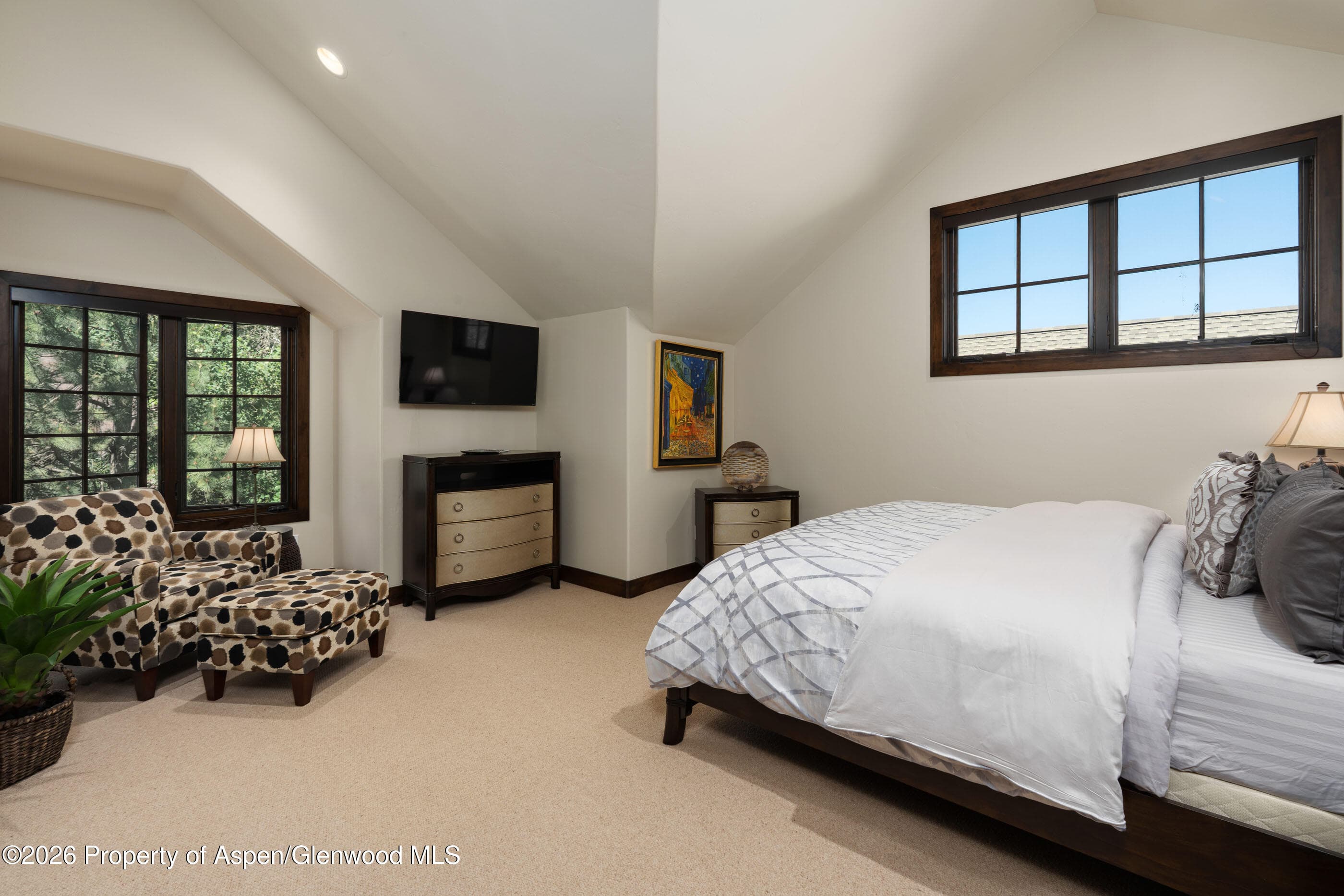 60 Puma, Carbondale, CO 81623 - Photo 20