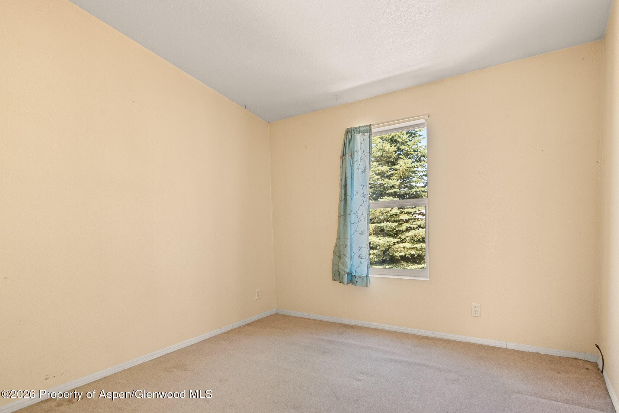 8296 County Road 301, Parachute, CO 81635 - Photo 17
