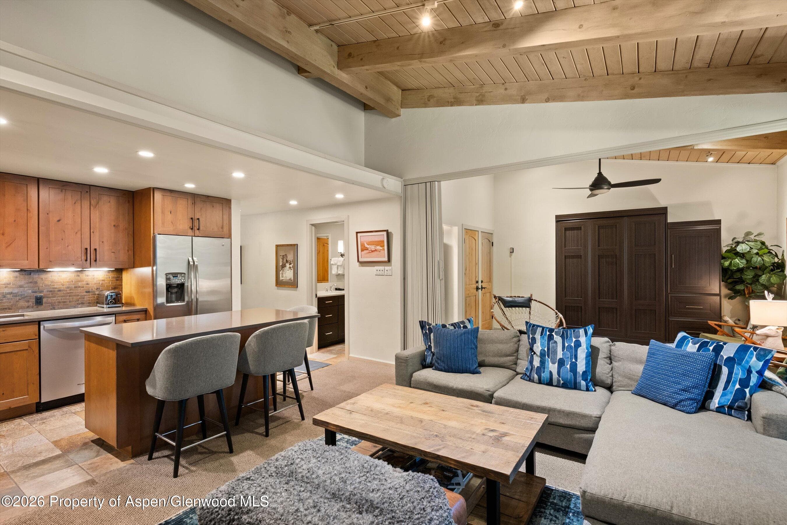 700 Ute Avenue 213, Aspen, CO 81611 - Photo 6
