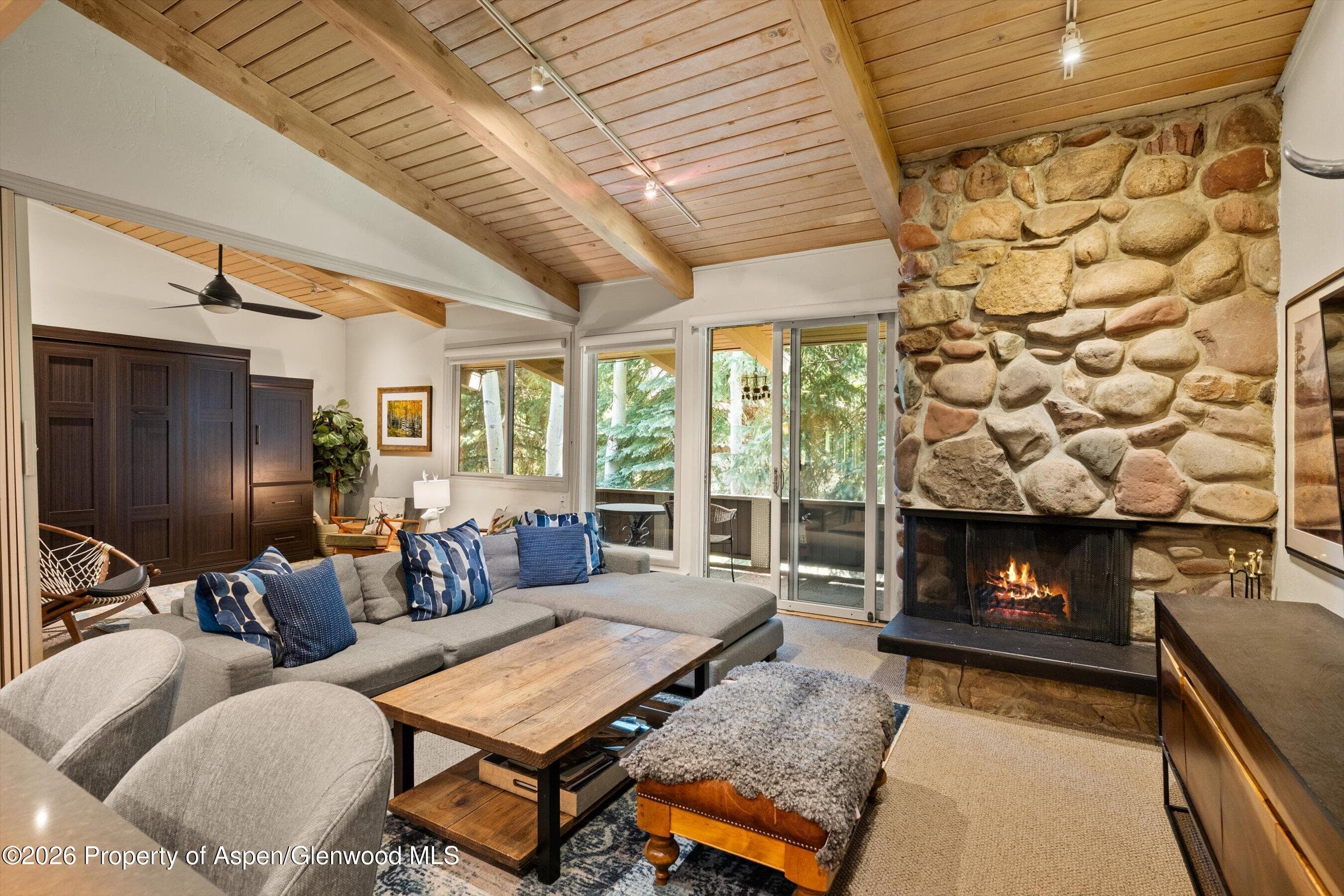 700 Ute Avenue 213, Aspen, CO 81611 - Photo 7