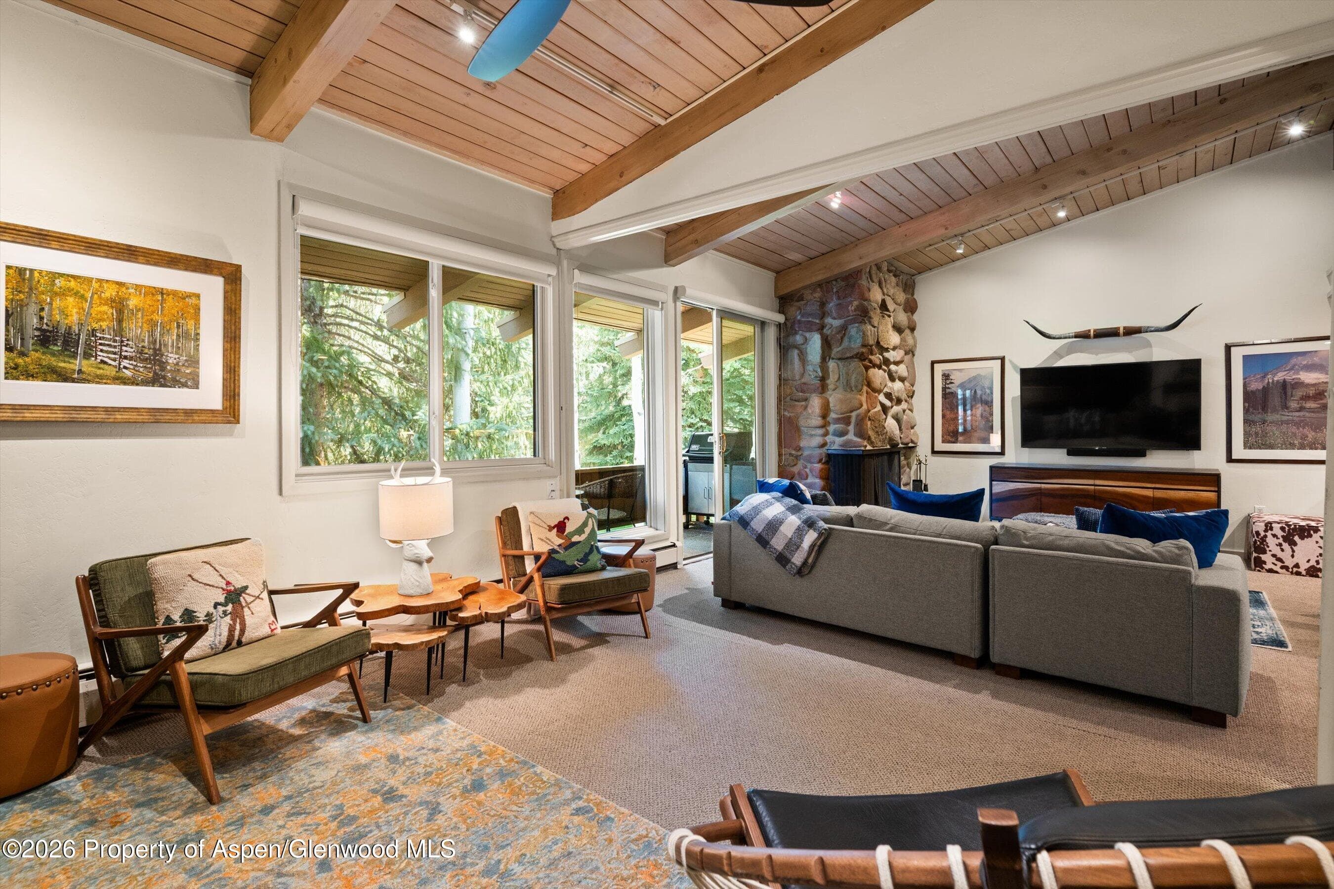 700 Ute Avenue 213, Aspen, CO 81611 - Photo 8