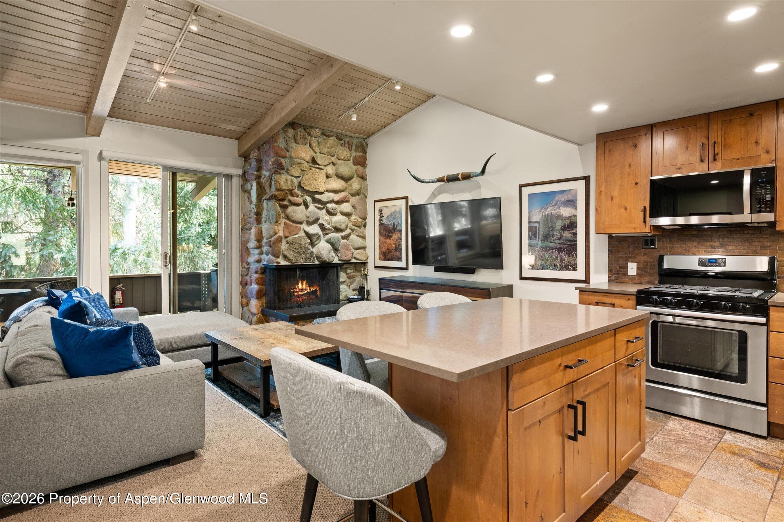 700 Ute Avenue 213, Aspen, CO 81611 - Photo 15
