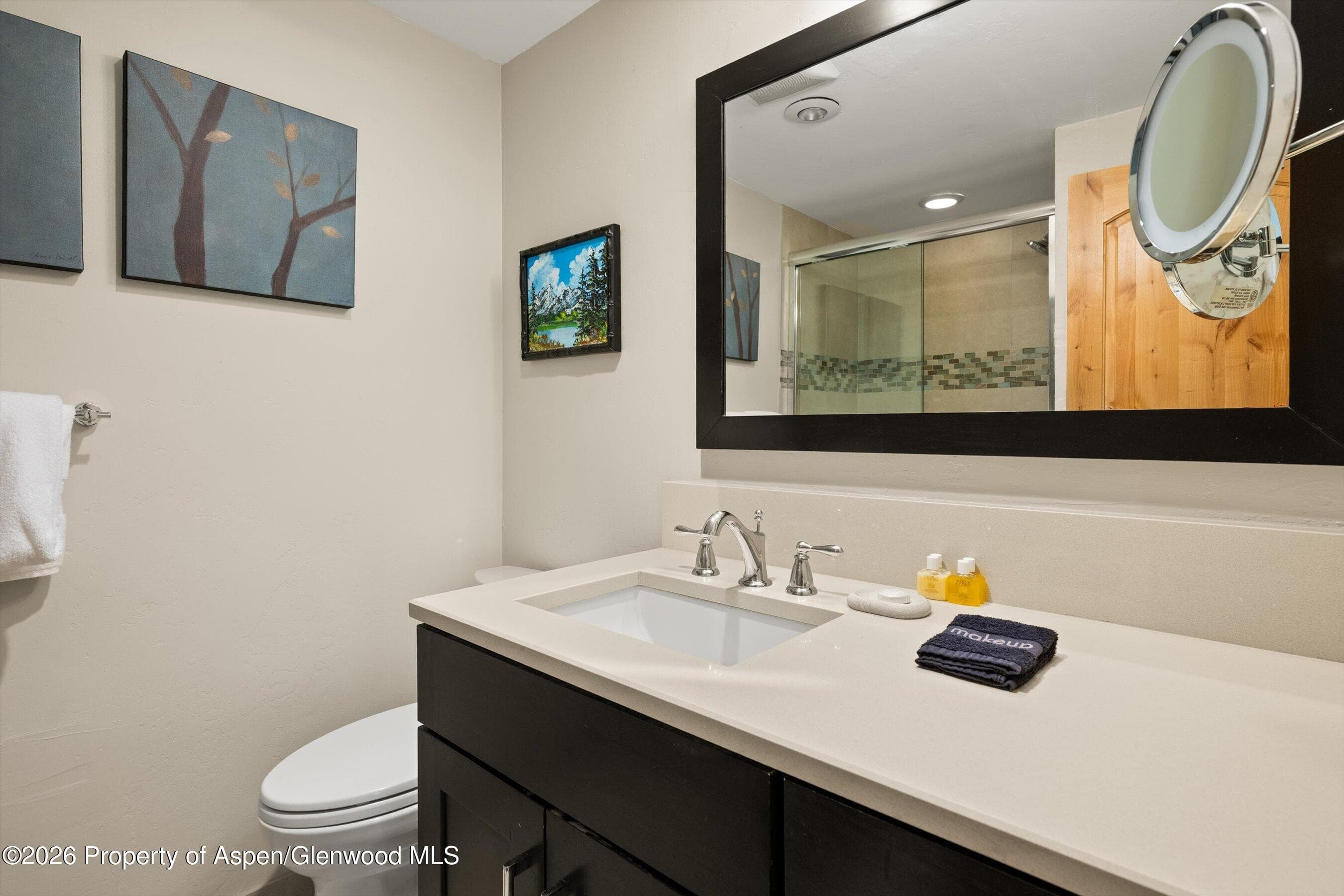 700 Ute Avenue 213, Aspen, CO 81611 - Photo 20