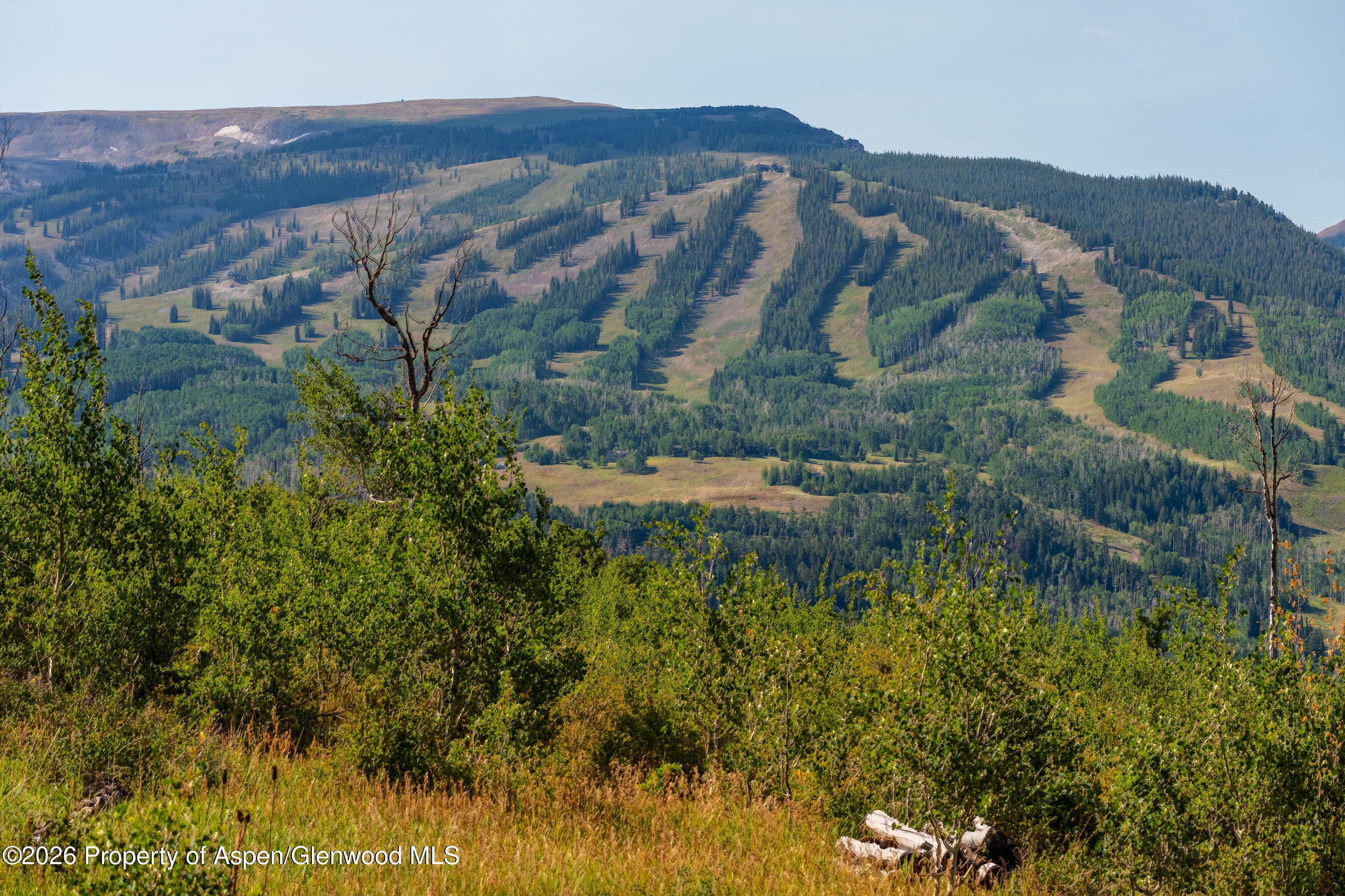 8500 & Tbd Snowmass Creek Road, Snowmass, CO 81654 - Photo 16