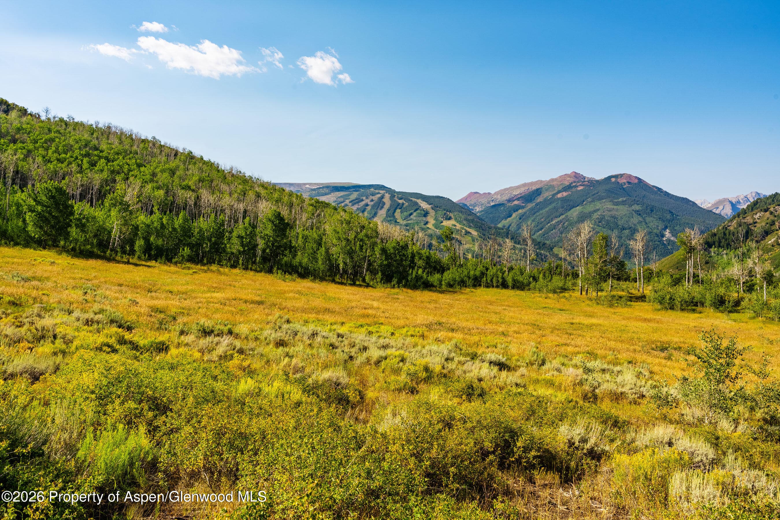 8500 & Tbd Snowmass Creek Road, Snowmass, CO 81654 - Photo 7