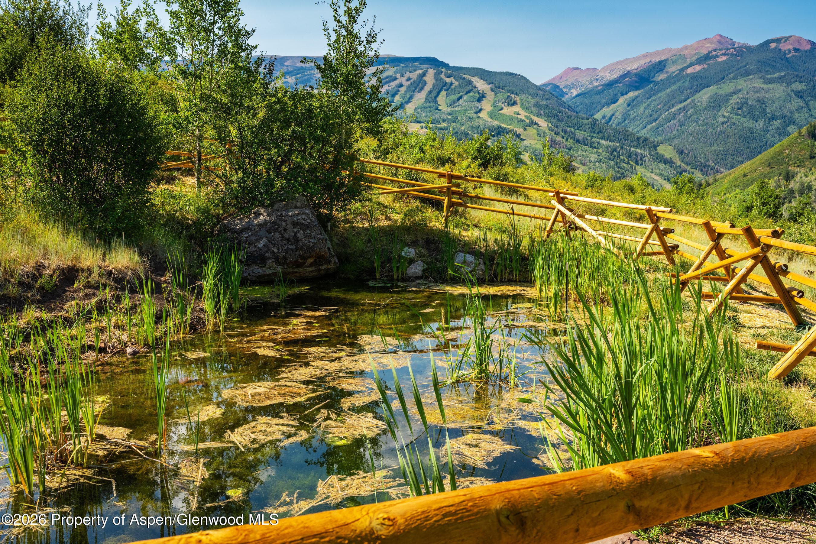8500 & Tbd Snowmass Creek Road, Snowmass, CO 81654 - Photo 10