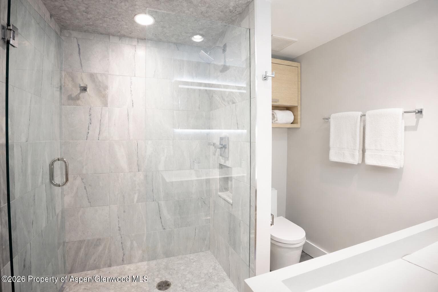 718 S Mill Street 7, Aspen, CO 81611 - Photo 8