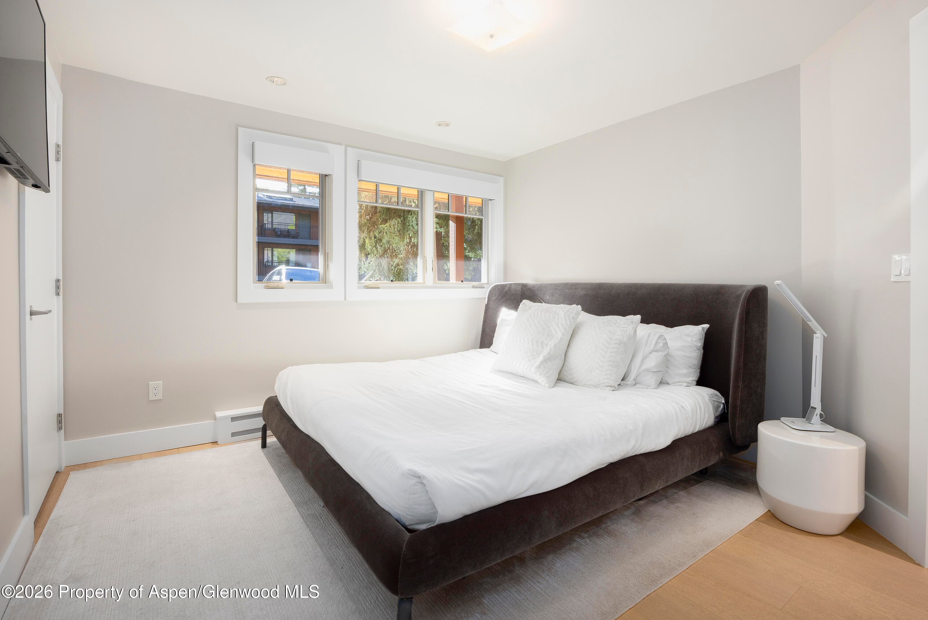 718 S Mill Street 7, Aspen, CO 81611 - Photo 9