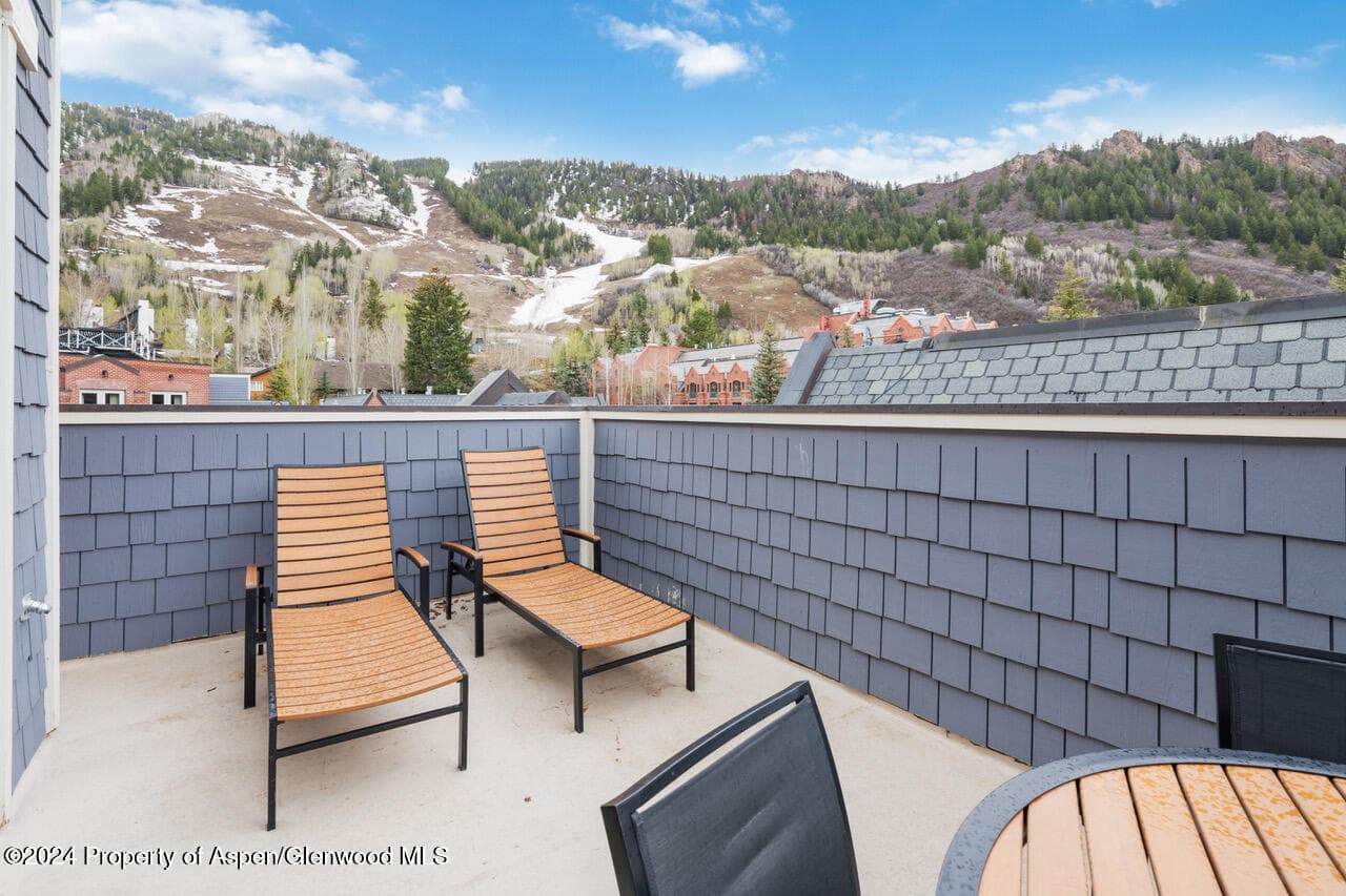 415 E Dean St, Unit 45, Week 35, Aspen, CO 81611 - Photo 11