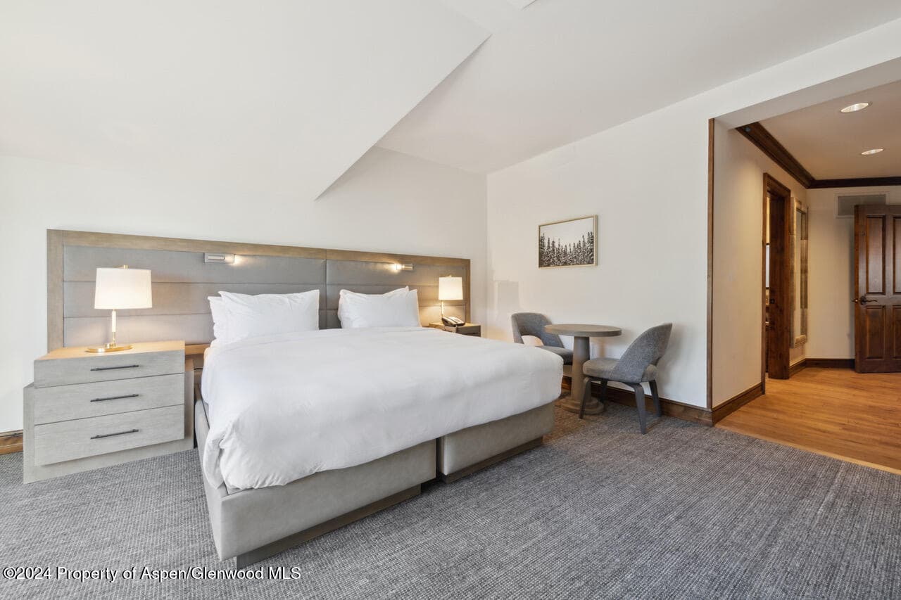415 E Dean St, Unit 45, Week 35, Aspen, CO 81611 - Photo 20