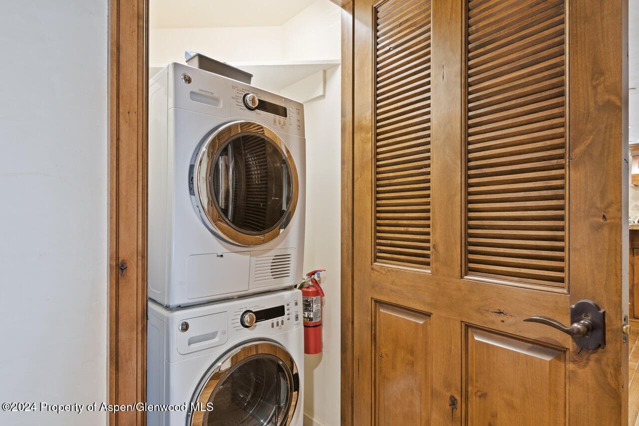 415 E Dean St, Unit 45, Week 35, Aspen, CO 81611 - Photo 34