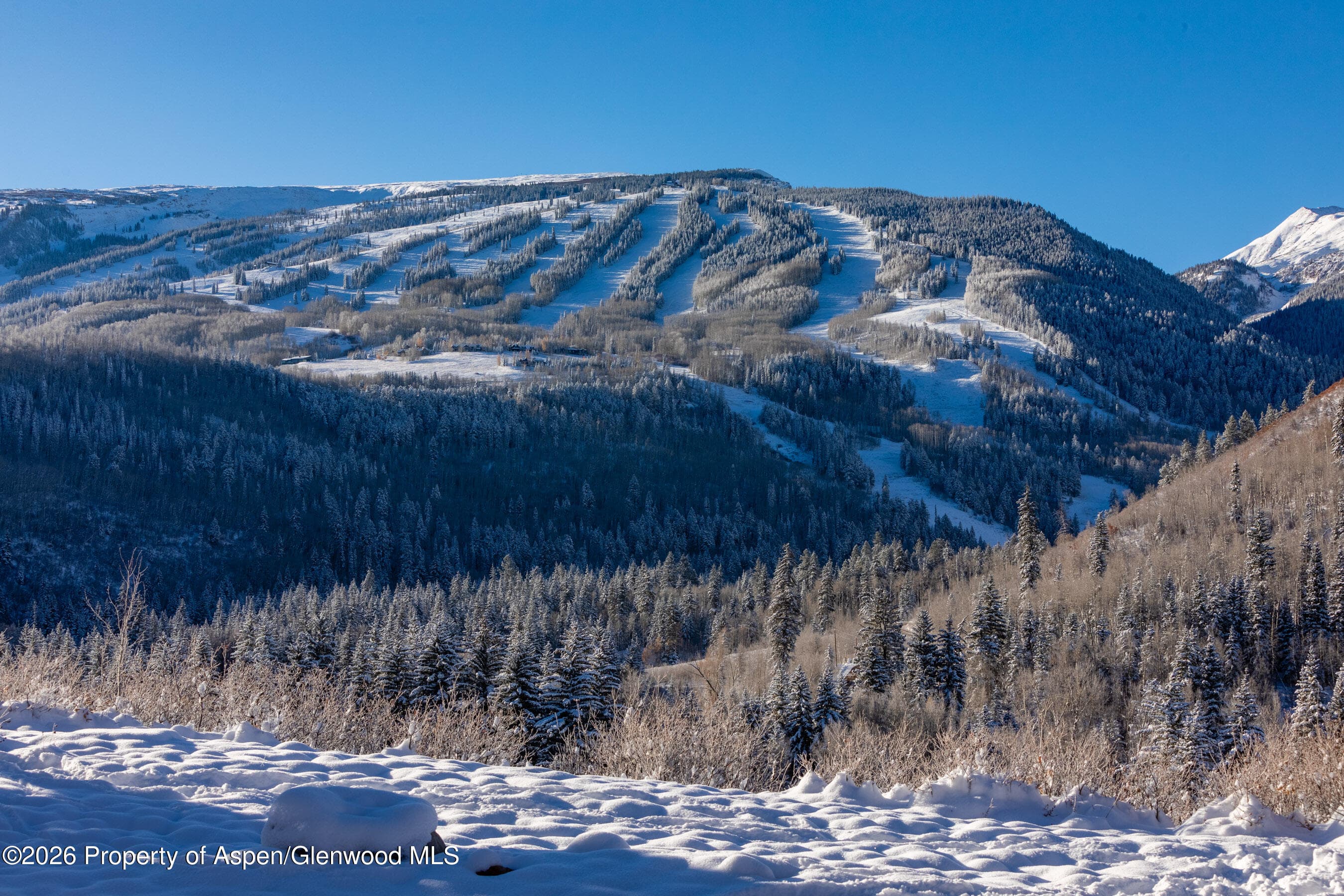 8500 & Tbd Snowmass Creek Road, Snowmass, CO 81654 - Photo 19