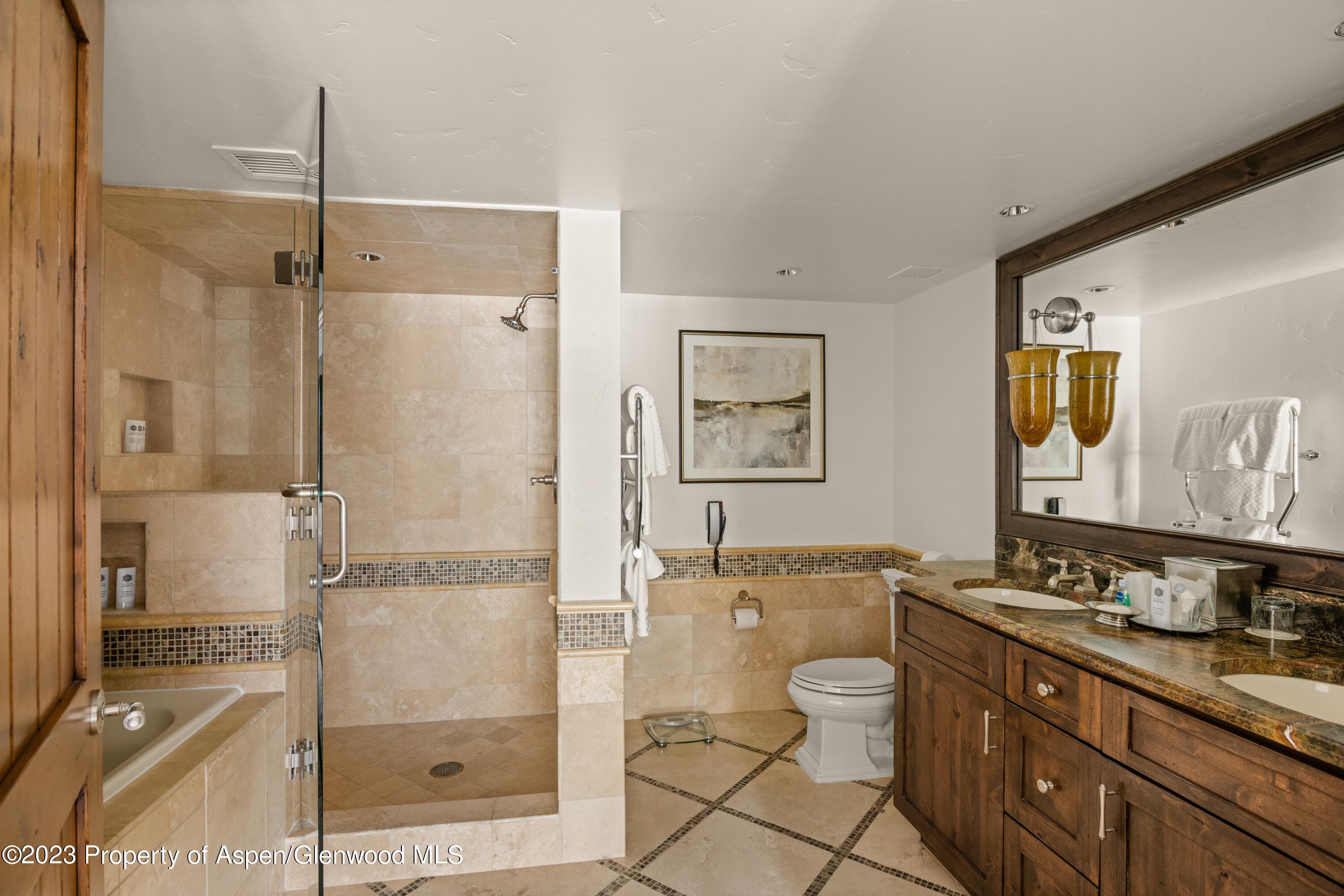315 E Dean Street B34, Aspen, CO 81611 - Photo 11