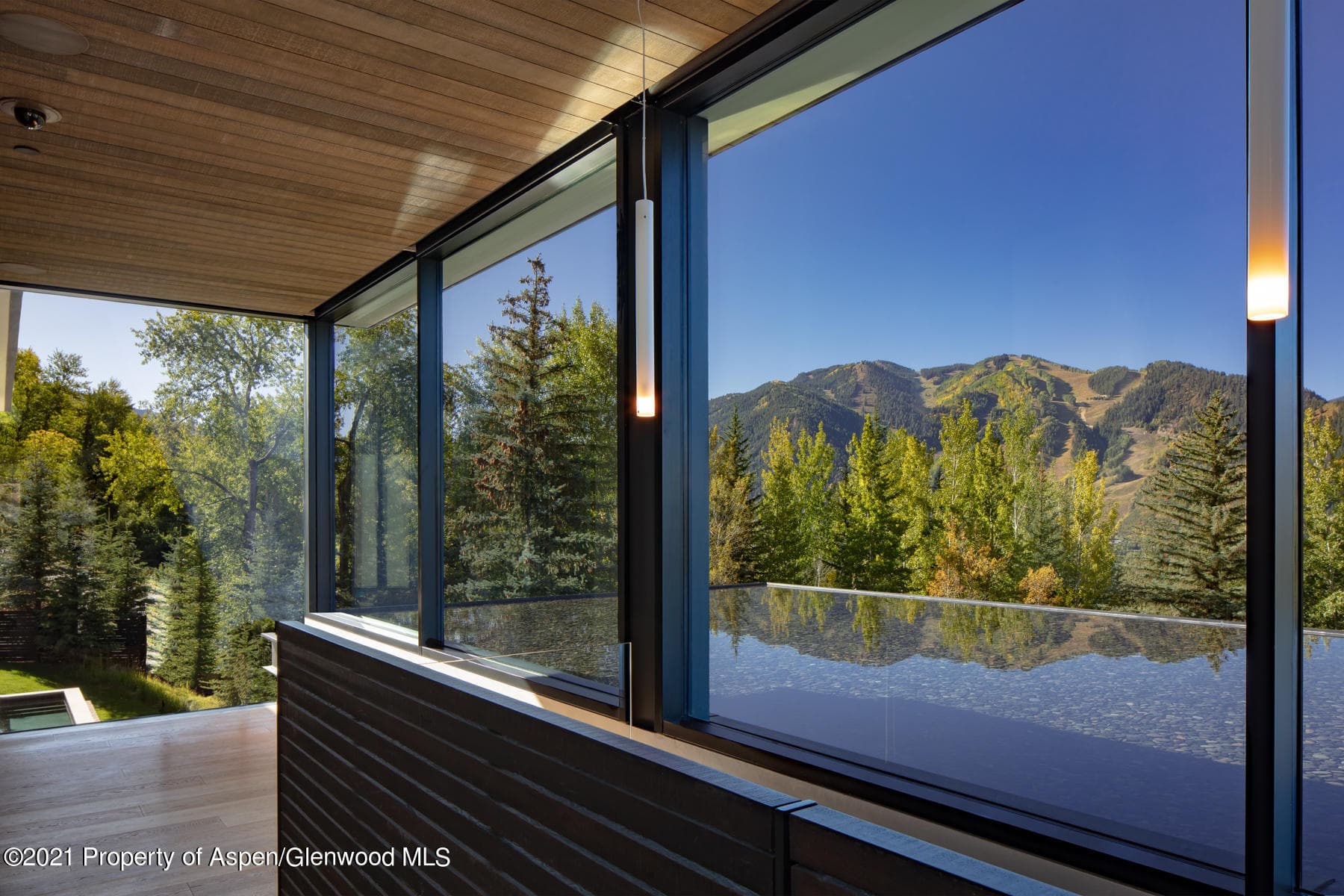 979 Red Mountain Road, Aspen, CO 81611 - Photo 4