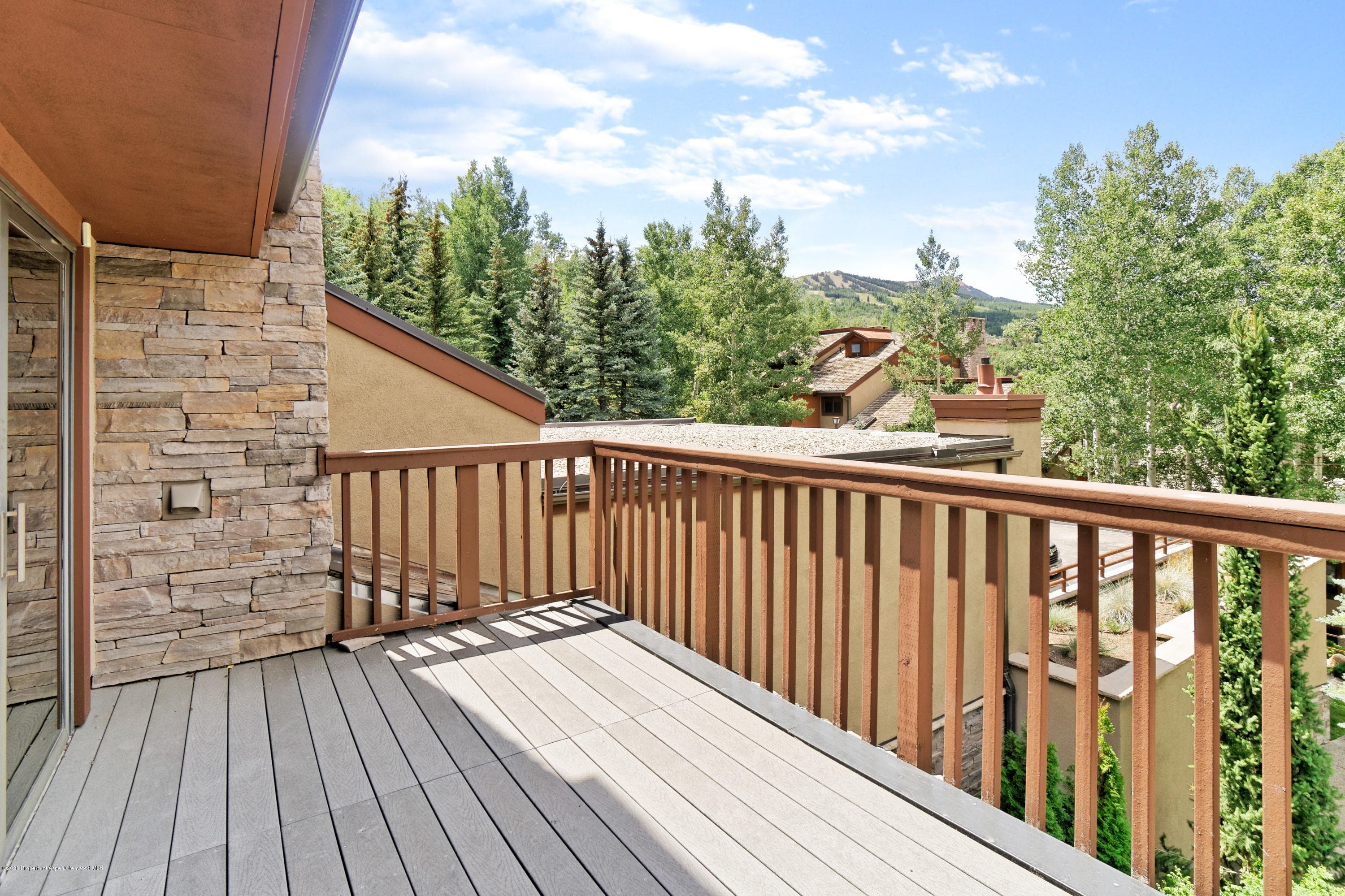 800 Ridge Road #9, Snowmass Village, CO 81615 - Photo 21