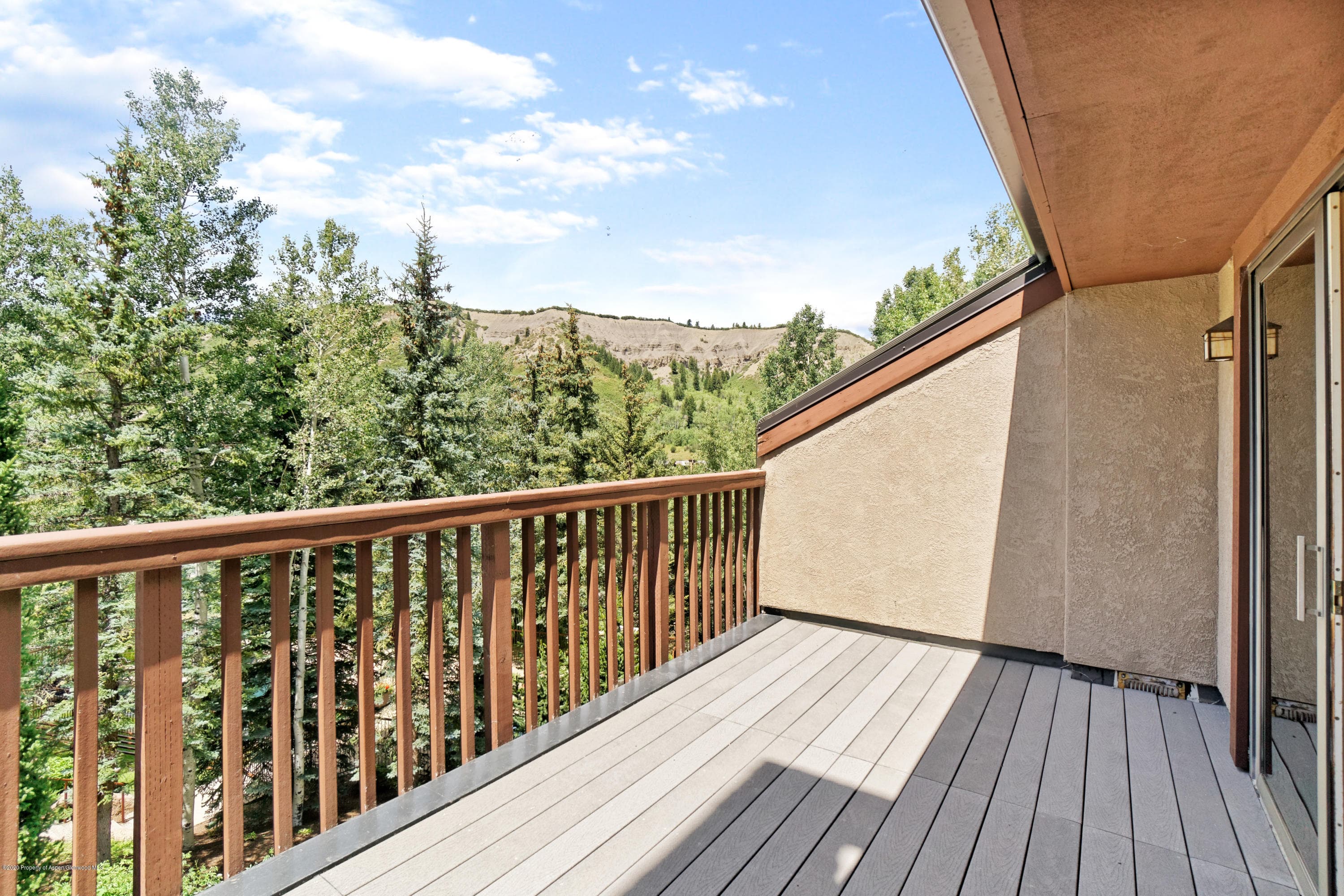 800 Ridge Road #9, Snowmass Village, CO 81615 - Photo 22