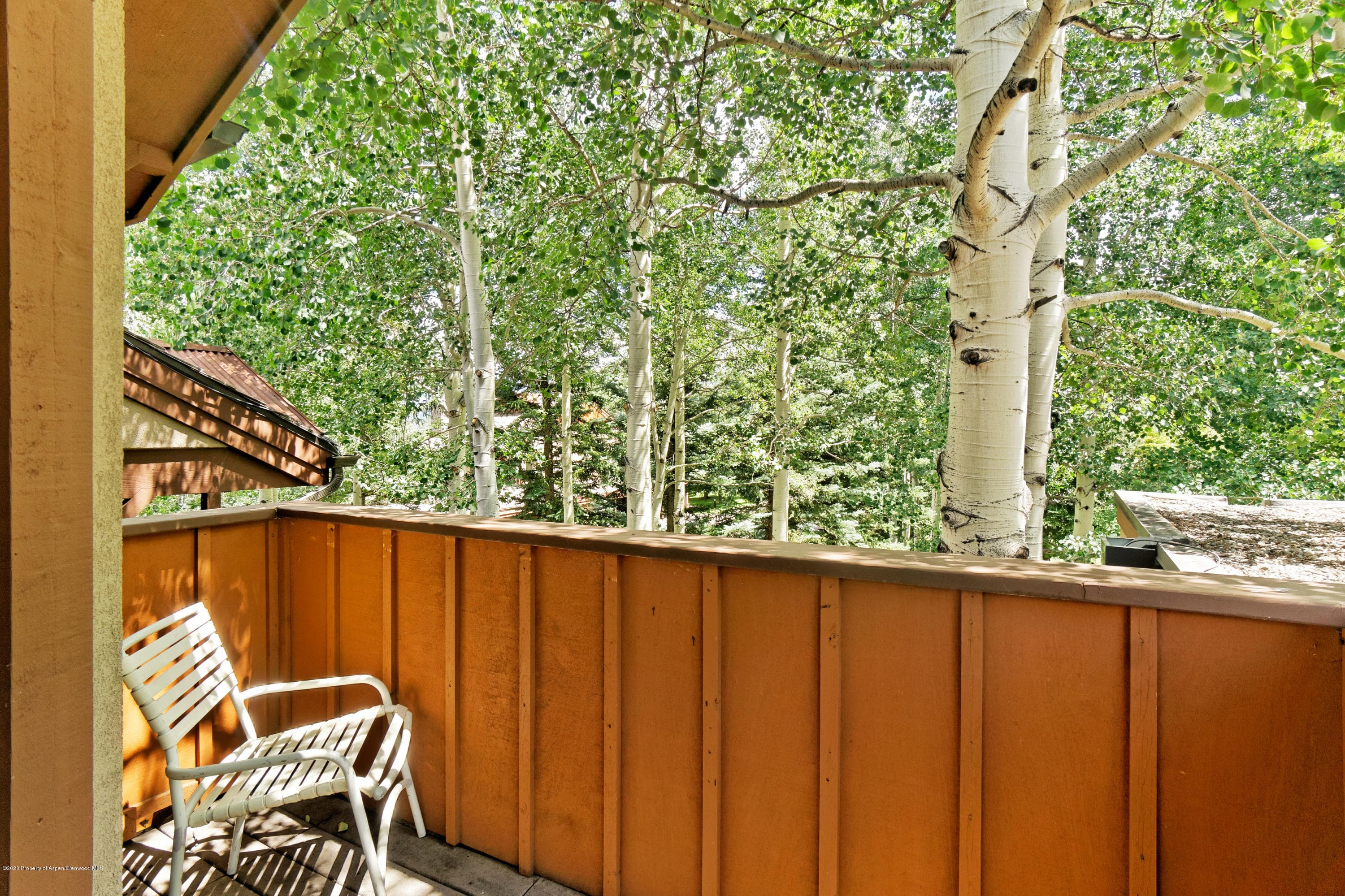 800 Ridge Road #9, Snowmass Village, CO 81615 - Photo 23