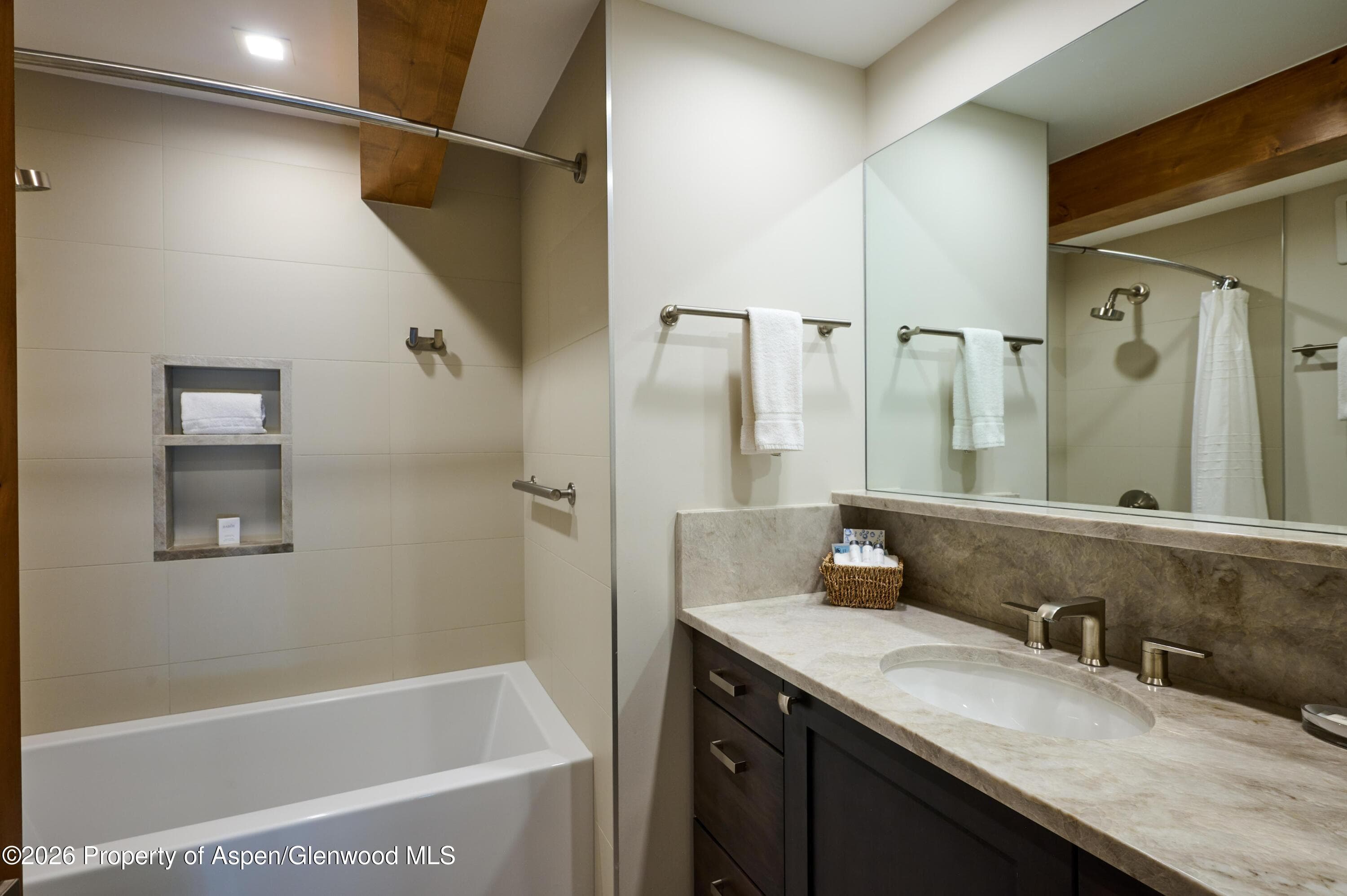 131 E Durant Avenue 410, Aspen, CO 81611 - Photo 11